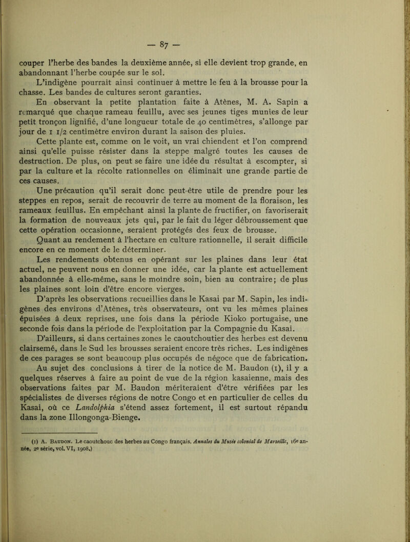 couper l’herbe des bandes la deuxième année, si elle devient trop grande, en abandonnant l’herbe coupée sur le sol. L’indigène pourrait ainsi continuer à mettre le feu à la brousse pour la chasse. Les bandes de cultures seront garanties. En observant la petite plantation faite à Atènes, M. A. Sapin a remarqué que chaque rameau feuillu, avec ses jeunes tiges munies de leur petit tronçon lignifié, d’une longueur totale de 40 centimètres, s’allonge par jour de i 1/2 centimètre environ durant la saison des pluies. Cette plante est, comme on le voit, un vrai chiendent et l’on comprend ainsi qu’elle puisse résister dans la steppe malgré toutes les causes de destruction. De plus, on peut se faire une idée du résultat à escompter, si par la culture et la récolte rationnelles on éliminait une grande partie de ces causes. Une précaution qu’il serait donc peut-être utile de prendre pour les steppes en repos, serait de recouvrir de terre au moment de la floraison, les rameaux feuillus. En empêchant ainsi la plante de fructifier, on favoriserait la formation de nouveaux jets qui, par le fait du léger débroussement que cette opération occasionne, seraient protégés des feux de brousse. Quant au rendement à l’hectare en culture rationnelle, il serait difficile encore en ce moment de le déterminer. Les rendements obtenus en opérant sur les plaines dans leur état actuel, ne peuvent nous en donner une idée, car la plante est actuellement abandonnée à elle-même, sans le moindre soin, bien au contraire; de plus les plaines sont loin d’être encore vierges. D’après les observations recueillies dans le Kasai par M. Sapin, les indi- I* gènes des environs d’Atènes, très observateurs, ont vu les mêmes plaines ‘ épuisées à deux reprises, une fois dans la période Kioko portugaise, une seconde fois dans la période de l’exploitation par la Compagnie du Kasai. D’ailleurs, si dans certaines zones le caoutchoutier des herbes est devenu clairsemé, dans le Sud les brousses seraient encore très riches. Les indigènes de ces parages se sont beaucoup plus occupés de négoce que de fabrication. Au sujet des conclusions à tirer de la notice de M. Baudon (i), il y a quelques réserves à faire au point de vue de la région kasaienne, mais des t observations faites par M. Baudon mériteraient d’être vérifiées par les i. spécialistes de diverses régions de notre Congo et en particulier de celles du '* Kasai, où ce Landolphia s’étend assez fortement, il est surtout répandu dans la zone Illongonga-Bienge. (i) A. Baudon. Le caoutchouc des herbes au Congo français.Marseille, i6e an- née, 26 série, vol. VI, 1908,)