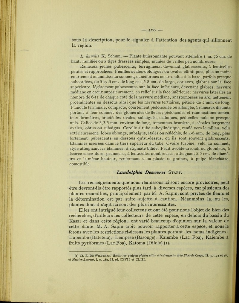 sous la description, pour le signaler à l’attention des agents qui sillonnent la région. L. humilis K. Schum, — Plante buissonnante pouvant atteindre i m. 75 cm. de haut, ramifiée ou à tiges dressées simples, munies de vrilles peu nombreuses. Rameaux jeunes pubescents, ferrugineux, devenant glabrescents, à lenticelles petites et rapprochées. Feuilles ovales-oblongues ou ovales-elliptiques, plus ou moins courtement acuminées au sommet, cunéiformes on arrondies à la base, parfois presque subcordées, de 5-17.5 cm. de long et 1,5-8 cm. de large, coriaces, glabres sur la face supérieure, légèrement pubescentes sur la face inférieure, devenant glabres, nervure médiane en creux supérieurement, en relief sur la face inférieure ; nervures latérales au nombre de 6-ii de chaque coté de la nervure médiane, anastomosées en arc, nettement proéminentes en dessous ainsi que les nervures tertiaires, pétiole de 2 mm, de long. Panicule terminale, compacte, courtement pédonculée ou allongée, à rameaux distants portant à leur sommet des glomérules de fleurs ; pédoncules et ramifications tomen- teux-brunâtres, bractéoles ovales, subaiguës, caduques, pédicelles nuis ou presque nuis. Calice de 3,3r5 mm. environ de long, tomenteux-brunâtre, à sépales largement ovales, obtus ou subaigus. Corolle à tube subcylindrique, renflé vers le milieu, velu extérieurement, lobes oblongs, subaigus, étalés ou réfléchis, de 4-6 mm. de long, plus fortement pubescents en dessous qu’au-dessus, où ils sont souvent glabrescents. Étamines insérées dans le tiers supérieur du tube. Ovaire turbiné, velu au sommet, style atteignant les étamines, à stigmate bifide. Fruit ovoïde-arrondi ou globuleux, à écorce assez dure, pruineuse, à lenticelles nombreuses, atteignant 5.5 cm. de diamè- tre et la même hauteur, renfermant 2 ou plusieurs graines, à pulpe blanchâtre, comestible. Landolphia Dewevrei Stapf. Les renseignements que nous réunissons ici sont encore provisoires, peut être devront-ils être rapportés plus tard à diverses espèces, car plusieurs des plantes recueillies, principalement par M. A. Sapin, sont privées de fleurs et la détermination est par suite sujette à caution. Néanmoins la, ou les, plantes dont il s’agit ici sont des plus intéressantes. Elles ont intrigué leur collecteur et ont été pour nous l’objet de bien des recherches, d’ailleurs les collecteurs de cette espèce, en dehors du bassin du ■ Kasai et dans cette région, ont varié beaucoup d’opinion sur la valeur de cette plante. M. A. Sapin croit pouvoir rapporter à cette espèce, et nous le ferons avec les restrictions ci-dessus les plantes portant les noms indigènes : Lupembe (Batetela), Lempese (Basonge), Kaiembe (Lac Foa), Kaiembe à fruits pyriformes (Lac Foa), Katoma (Dilolo) (i). (i) Cf. É. De WiLDiMAN. Etudes sur quelques plantes utiles et intéressantes de la Flore du Congo, II, p. 172 et 189 et Mission Laurent, I, p. 482, II, pl. CXVII et CLIII.