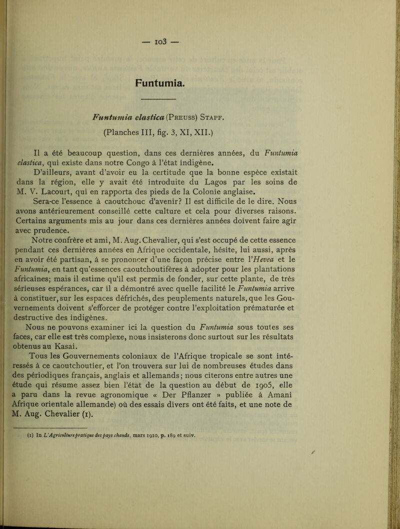 Funtumia. Funtumia elastica (Preuss) Stapf. (Planches III, fig. 3, XI, XII.) Il a été beaucoup question, dans ces dernières années, du Funtumia elastica, qui existe dans notre Congo à l’état indigène. D’ailleurs, avant d’avoir eu la certitude que la bonne espèce existait dans la région, elle y avait été introduite du Lagos par les soins de M. V. Lacourt, qui en rapporta des pieds de la Colonie anglaise. Sera-ce l’essence à caoutchouc d’avenir? Il est difficile de le dire. Nous avons antérieurement conseillé cette culture et cela pour diverses raisons. Certains arguments mis au jour dans ces dernières années doivent faire agir avec prudence. Notre confrère et ami, M. Aug. Chevalier, qui s’est occupé de cette essence pendant ces dernières années en Afrique occidentale, hésite, lui aussi, après en avoir été partisan, à se prononcer d’une façon précise entre VHevea et le Funtumia, en tant qu’essences caoutchoutifères à adopter pour les plantations africaines; mais il estime qu’il est permis de fonder, sur cette plante, de très sérieuses espérances, car il a démontré avec quelle facilité le Funtumia arrive à constituer, sur les espaces défrichés, des peuplements naturels, que les Gou- ivernements doivent s’efforcer de protéger contre l’exploitation prématurée et destructive des indigènes. Nous ne pouvons examiner ici la question du Funtumia sous toutes ses faces, car elle est très complexe, nous insisterons donc surtout sur les résultats obtenus au Kasai. Tous les Gouvernements coloniaux de l’Afrique tropicale se sont inté- ressés à ce caoutchoutier, et l’on trouvera sur lui de nombreuses études dans des périodiques français, anglais et allemands; nous citerons entre autres une étude qui résume assez bien l’état de la question au début de igo5, elle a paru dans la revue agronomique « Der Pflanzer » publiée à Amani Afrique orientale allemande) où des essais divers ont été faits, et une note de M. Aug. Chevalier (i). / (i) In U Agriculture pratique des pays chauds, mars 1910, p. 189 et suiv.