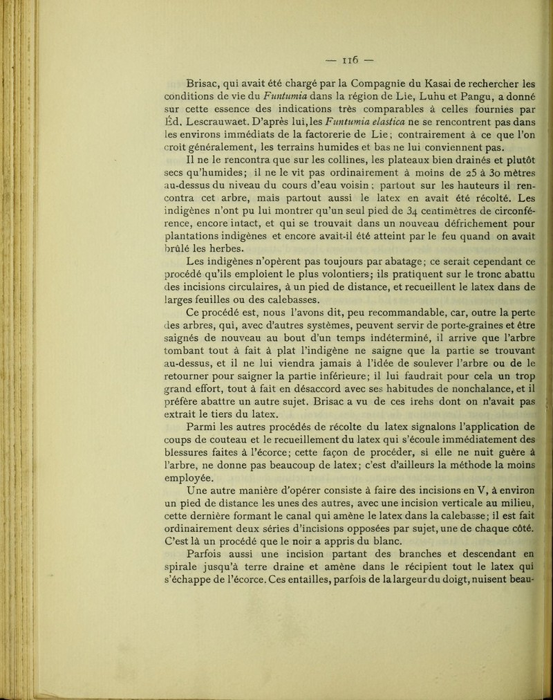Brisac, qui avait été chargé par la Compagnie du Kasai de rechercher les conditions de vie du Funtumia dans la région de Lie, Luhu et Pangu, a donné sur cette essence des indications très comparables à celles fournies par Éd. Lescrauwaet. D’après lui,les Funtumia elastica ne se rencontrent pas dans les environs immédiats de la factorerie de Lie ; contrairement à ce que l’on croit généralement, les terrains humides et bas ne lui conviennent pas. Il ne le rencontra que sur les collines, les plateaux bien drainés et plutôt secs qu’humides; il ne le vit pas ordinairement à moins de 25 à 3o mètres au-dessus du niveau du cours d’eau voisin ; partout sur les hauteurs il ren- contra cet arbre, mais partout aussi le latex en avait été récolté. Les indigènes n’ont pu lui montrer qu’un seul pied de 3q centimètres de circonfé- rence, encore intact, et qui se trouvait dans un nouveau défrichement pour plantations indigènes et encore avait-il été atteint par le feu quand on avait brûlé les herbes. Les indigènes n’opèrent pas toujours par abatage; ce serait cependant ce procédé qu’ils emploient le plus volontiers; ils pratiquent sur le tronc abattu des incisions circulaires, à un pied de distance, et recueillent le latex dans de larges feuilles ou des calebasses. Ce procédé est, nous l’avons dit, peu recommandable, car, outre la perte des arbres, qui, avec d’autres systèmes, peuvent servir de porte-graines et être saignés de nouveau au bout d’un temps indéterminé, il arrive que l’arbre tombant tout à fait à plat l’indigène ne saigne que la partie se trouvant au-dessus, et il ne lui viendra jamais à l’idée de soulever l’arbre ou de le retourner pour saigner la partie inférieure; il lui faudrait pour cela un trop grand effort, tout à fait en désaccord avec ses habitudes de nonchalance, et il préfère abattre un autre sujet. Brisac a vu de ces irehs dont on n’avait pas extrait le tiers du latex. Parmi les autres procédés de récolte du latex signalons l’application de coups de couteau et le recueillement du latex qui s’écoule immédiatement deS' blessures faites à l’écorce; cette façon de procéder, si elle ne nuit guère à l’arbre, ne donne pas beaucoup de latex; c’est d’ailleurs la méthode la moins employée. Une autre manière d'opérer consiste à faire des incisions en V, à environ un pied de distance les unes des autres, avec une incision verticale au milieu, cette dernière formant le canal qui amène le latex dans la calebasse; il est fait ordinairement deux séries d’incisions opposées par sujet, une de chaque côté. C’est là un procédé que le noir a appris du blanc. Parfois aussi une incision partant des branches et descendant en spirale jusqu’à terre draine et amène dans le récipient tout le latex qui s’échappe de l’écorce. Ces entailles, parfois de la largeur du doigt, nuisent beau-