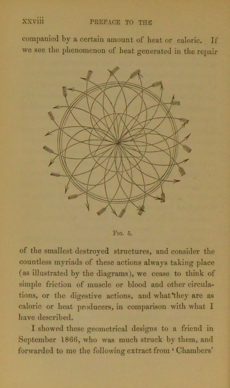 companied by a certain amount of heat or caloric. If we see the phenomenon of lieat generated in the repair Fia. 5. of the smallest destroyed structures, and consider the countless myriads of these actions always taking place (as illustrated by the diagrams), we cease to think of simple friction of muscle or blood and other circula- tions, or the digestive actions, and what*thcy are as caloric or heat producers, in comparison with what 1 have described. I showed these geometrical designs to a friend in September 1866, who was much struck by them, and forwarded to me the following extract from ‘ Chambers’