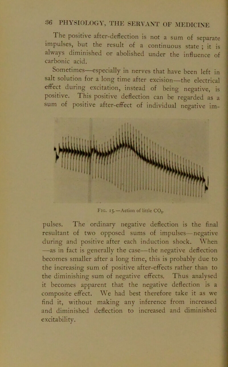 The positive after-deflection is not a sum of separate impulses, but the result of a continuous state ; it is always diminished or abolished under the influence of carbonic acid. Sometimes—especially in nerves that have been left in salt solution for a long time after excision—the electrical effect dining excitation, instead of being negative, is positive. This positive deflection can be regarded as a sum of positive after-effect of individual negative im- Fig. 15.—Action of little COo. pulses. The ordinary negative deflection is the final resultant of two opposed sums of impulses—negative during and positive after each induction shock. When —as in fact is generally the case—the negative deflection becomes smaller after a long time, this is probably due to the increasing sum of positive after-effects rather than to the diminishing sum of negative effects. Thus analysed it becomes apparent that the negative deflection is a composite effect. We had best therefore take it as we find it, without making any inference from increased and diminished deflection to increased and diminished excitability.