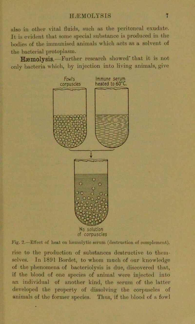 also in other vital fluids, such as the peritoneal exudate. It is evident that some special substance is produced in the bodies of the immunised animals which acts as a solvent of the bacterial protoplasm. Haemolysis.—Further research showed'that it is not only bacteria which, by injection into living animals, give Fowl’5 Immune serum No solution of corpuscles Fig. 2.—Effect of lieat on luemolytic serum (destruction of complement). rise to the production of substances destructive to them- selves. In 1891 Bordet, to whom much of our knowledge of the phenomena of bacteriolysis is due, discovered that, if the blood of one species of animal were injected into an individual of another kind, the serum of the latter developed the property of dissolving the corpuscles of animals of the former species. Thus, if the blood of a fowl
