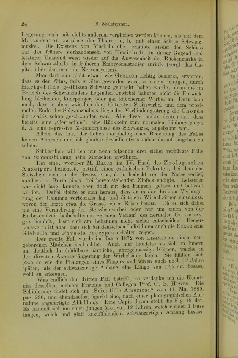 Lagerung nach mit nichts anderem verglichen werden können, als mit dem ]VL curvator caudae der Tliiere, d. h. mit einem ächten Schwanz- muskel. Die Existenz von Muskeln aber erlaubte wieder den Schluss auf das frühere Vorhandensein von Ur wirb ein in dieser Gegend und letzterer Umstand weist wieder auf die Anwesenheit des Rückenmarks in dem Schwanztheile in früheren Embryonalstadien zurück (vergl. das Ca- pitel über das centrale Nervensystem). Man darf nun nicht etwa, wie Gerlach richtig bemerkt, erwarten, dass es der Fötus, falls er älter geworden wäre, zu einem richtigen, durch Hartgebilde gestützten Schwanz gebracht haben würde, denn die im Bereich des Schwanzfadens liegenden Urwirbel bahnten nicht die Entwick- lung bleibender, knorpeliger, oder gar knöcherner Wirbel an. Dazu kam noch, dass in dem, zwischen dem hintersten Steisswirbel und dem proxi- malen Ende des Schwanzfadens liegenden Verbindungsstrang die Chorda dorsalis schon geschwunden war. Alle diese Punkte deuten an, dass bereits eine „Correction“, eine Rückkehr zum normalen Bildungsgänge, d. h. eine regressive Metamorphose des Schwanzes, angebahnt war. Allein das thut der hohen morphologischen Bedeutung des Falles keinen Abbruch und ich glaubte deshalb etwas näher darauf eingehen zu sollen. Schliesslich will ich nur noch folgende drei sicher verbürgte Fälle von Schwanzbildung beim Menschen erwähnen. Der eine, worüber M. Braun im IV. Band des Zoologischen Anzeigers berichtet, betrifft einen esthnischen Rekruten, bei dem das Steissbein nicht in der Gesässkerbe, d. h. bedeckt von den Nates verlief, sondern in Form eines frei hervorstehenden Zipfels endigte. Letzterer war nicht lang, konnte aber doch mit den Fingern gefasst und betastet werden. Dabei stellte es sich heraus, dass er in der direkten Verlänge- rung der Columna vertebralis lag und distincte Wirbelkörper einschloss, wovon der letzte etwa die Grösse einer Erbse besass. Ob es sich dabei um eine Vermehrung der Steissbeinwirbel oder nur um einen von der Embryonalzeit beibehaltenen, geraden Verlauf des normalen Os coccy- gis handelt, lässt sich am Lebenden nicht sicher entscheiden. Bemer- kenswerth ist aber, dass sich bei demselben Individuum auch die EcivEu’sche Glabella und Foveola coccygea erhalten zeigen. Der zweite Fall wurde im Jahre 1872 von Lissxer an einem neu- geborenen Mädchen beobachtet. Auch hier handelte es sich im Innern um deutlich durchfühlbare liärtliche, unregelmässige Körper, welche in der directen Axenverlängerung der Wirbelsäule lagen. Sie fühlten sich etwa an wie die Phalangen eines Fingers und waren auch noch 12 Jahre später, als der schwanzartige Anhang eine Länge von 12,5 cm besass, wohl zu erkennen. Was endlich den dritten Fall betrifft, so verdanke ich die ivennt- niss desselben meinem Freunde und Collegen Prof. G. B. Houes. Die Schilderung findet sich im „Scientific American“ vom 11 Mai 1889, pag. 296, und ebendaselbst figurirt eine, nach einer photographischen Auf- nahme angefertigte Abbildung. Eine Copie davon stellt die big. 19 dai. Es handelt sich um einen jungen Moi von 12 Jahren, welcher einen 1 buss langen, weich und glatt anzufühlenden, schwanzartigen Anhang besass.