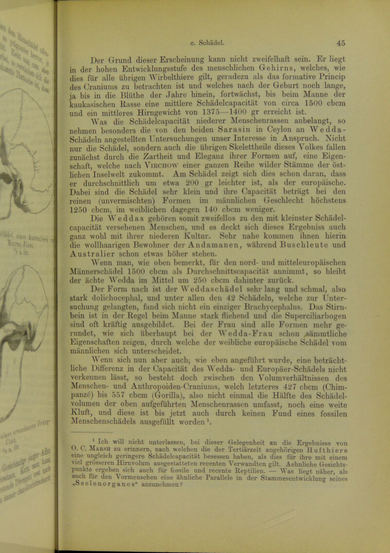 Der Grund dieser Erscheinung kann nicht zweifelhaft sein. Er liegt in der hohen Entwicklungsstufe des menschlichen Gehirns, welches, wie dies für alle übrigen AYirbelthiere gilt, geradezu als das formative Princip des Craniums zu betrachten ist und welches nach der Geburt noch lange, ja bis in die Blüthe der Jahre hinein, fortwächst, bis beim Manne der kaukasischen Rasse eine mittlere Schädelcapacität von circa 1500 ehern und ein mittleres Hirngewicht von 1375—1400 gr erreicht ist. AYas die Schädelcapacität niederer Alenschenrassen anbelangt, so nehmen besonders die von den beiden Sarasin in Ceylon an AVedda- Schädeln angestellten Untersuchungen unser Interesse in Anspruch. Nicht nur die Schädel, sondern auch die übrigen Skelettheile dieses A'olkes fallen zunächst durch die Zartheit und Eleganz ihrer Formen auf, eine Eigen- schaft, welche nach Virchow einer ganzen Reihe wilder Stämme der öst- lichen Inselwelt zukommt. Am Schädel zeigt sich dies schon daran, dass er durchschnittlich um etwa 200 gr leichter ist, als der europäische. Dabei sind die Schädel sehr klein und ihre Capacität beträgt bei den reinen (unvermischten) Formen im männlichen Geschlecht höchstens 1250 ebem, im weiblichen dagegen 140 ebem weniger. Die AY e d d a s gehören somit zweifellos zu den mit kleinster Schädel- capacität versehenen Menschen, und es deckt sich dieses Ergebniss auch ganz wohl mit ihrer niederen Kultur. Sehr nahe kommen ihnen hierin die wollhaarigen Bewohner der Andamanen, während Buschleute und Australier schon etwas höher stehen. Wenn man, wie oben bemerkt, für den nord- und mitteleuropäischen Männerschädel 1500 ebem als Durchschnittscapacität annimmt, so bleibt der ächte AYedda im Alittel um 250 ebem dahinter zurück. Der Form nach ist der AYeddaschädel sehr lang und schmal, also stark doliehocephal, und unter allen den 42 Schädeln, welche zur Unter- suchung gelangten, fand sich nicht ein einziger Brachycephalus. Das Stirn- bein ist in der Regel beim Manne stark fliehend und die Superciliarbogen sind oft kräftig ausgebildet. Bei der Frau sind alle Formen mehr ge- rundet, wie sich überhaupt bei der AYedda-Frau schon ,sämmtliche Eigenschaften zeigen, durch welche der weibliche europäische Schädel vom männlichen sich unterscheidet. AYenn sich nun aber auch, wie eben angeführt wurde, eine beträcht' liehe Differenz in der Capacität des AVedda- und Europäer-Schädels nicht verkennen lässt, so besteht doch zwischen den Yolumverhältnissen des Menschen- und Anthropoiden-Craniums, welch letzteres 427 ebem (Chim- panze) bis 557 ebem (Gorilla), also nicht einmal die Hälfte des Schädel- volumen der oben aufgeführten Alenschenrassen umfasst, noch eine weite Kluft, und diese ist bis jetzt auch durch keinen Fund eines fossilen Alenschenschädels ausgefülit wordenl. 1 Ich will nicht unterlassen, bei dieser Gelegenheit an die Ergebnisse von 0. C. Marsh zu erinnern, nach welchen die der Tertiärzeit angehörigen Hufthiere eine ungleich geringere Schädelcapacität besessen haben, als dies lur ihre mit einem viel grösseren Hirnvolum ausgestatteten recenten A'erwandten gilt. Aehnliche Gesichts- punkte ergeben sich auch für fossile und recente Reptilien. — AYas liegt näher, als auch für den A'ormenschen eine ähnliche Parallele in der Stammesentwicklung seines „oeelenorganes“ anzunehmen'?