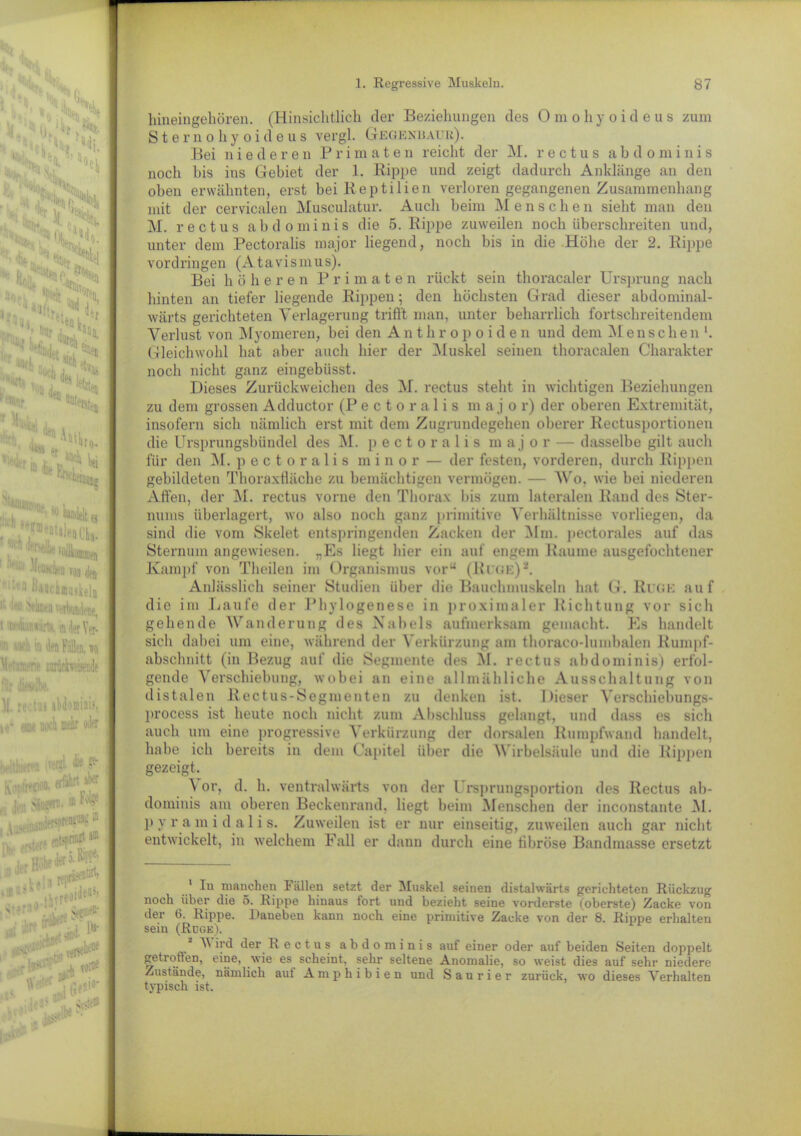 liL. ;V>18 H-h rKNw ■ iJ1 n, ■% ■ 4 'int, *“'■! fei ■Weistea ^ (kn r‘*VP 10 es 1 !“» Xwh m h -■ ü ^aariimuskeln i; '*11 vetWotlfne, i :i:uluM;trK. in der Ver-  w'n io d® Füllen, wo M-‘r:n:fne iorückweisende für Ml#. M. rectus abdominis, t-t* eine uoch mehr oJff steht in wichtigen Beziehungen hineingehören. (Hinsichtlich der Beziehungen des Omohyoideus zum Sternohyoideus vergl. Gegenbaur). Bei niederen Primaten reicht der M. rectus abdominis noch bis ins Gebiet der 1. Kippe und zeigt dadurch Anklänge an den oben erwähnten, erst bei Reptilien verloren gegangenen Zusammenhang mit der cervicalen Musculatur. Auch beim Menschen sieht man den M. rectus abdominis die 5. Rippe zuweilen noch überschreiten und, unter dem Pectoralis major liegend, noch bis in die Höhe der 2. Rippe Vordringen (Atavismus). Bei höheren Primaten rückt sein thoracaler Ursprung nach hinten an tiefer liegende Rippen; den höchsten Grad dieser abdominal- wärts gerichteten Verlagerung trifft man, unter beharrlich fortschreitendem Verlust von Myomeren, bei den Anthropoiden und dem Menschen1. Gleichwohl hat aber auch hier der Muskel seinen thoracalen Charakter noch nicht ganz eingebüsst. Dieses Zurückweichen des M. rectus zu dem grossen Adductor (Pectoralis m a j o r) der oberen Extremität, insofern sich nämlich erst mit dem Zugrundegehen oberer Rectusportionen die Ursprungsbündel des M. pectoralis m aj o r — dasselbe gilt auch für den M. pectoralis m inor — der festen, vorderen, durch Rippen gebildeten Thoraxfläche zu bemächtigen vermögen. — Wo. wie bei niederen Affen, der M. rectus vorne den Thorax bis zum lateralen Rand des Ster- nums überlagert, wo also noch ganz primitive Verhältnisse vorliegen, da sind die vom Skelet entspringenden Zacken der Mm. pectorales auf das Sternum angewiesen. „Es liegt hier ein auf engem Raume ausgefoehtener Kampf von Theilen im Organismus vor“ (Buge)8. Anlässlich seiner Studien über die Bauchmuskeln hat G. Rüge auf die im Laufe der Phylogenese in proximaler Richtung vor sich gehende Wanderung des Nabels aufmerksam gemacht. Es handelt sich dabei um eine, während der Verkürzung am thoraco-luinbalen Rumpf- abschnitt (in Bezug auf die Segmente des M. rectus abdominis) erfol- gende Verschiebung, wobei an eine allmähliche Ausschaltung von distalen Rectus-Segmenten zu denken ist. Dieser Verschiebungs- process ist heute noch nicht zum Abschluss gelangt, und dass es sich auch um eine progressive ^ erkürzung der dorsalen Rumpfwand handelt, habe ich bereits in dem Capitel über die Wirbelsäule und die Rippen gezeigt. or, d. h. ventralwärts von der Ursprungsportion des Rectus ab- dominis am oberen Beckenrand, liegt beim Menschen der inconstante M. ]> y r a m i d a 1 i s. Zuweilen ist er nur einseitig, zuweilen auch gar nicht entwickelt, in welchem Fall er dann durch eine fibröse Bandmasse ersetzt 1 Iu manchen Fällen setzt der Muskel seinen distalwärts gerichteten Rückzug uoch über die 5. Rippe hinaus fort und bezieht seine vorderste (oberste) Zacke von der 6. Rippe. Daneben kann noch eine primitive Zacke von der 8. Rippe erhalten sein (Rüge). * A\ ird der Rectus abdominis auf einer oder auf beiden Seiten doppelt getroffen, eine, wie es scheint, sehr seltene Anomalie, so weist dies auf sehr niedere Zustände, nämlich auf Amphibien und Saurier zurück, wo dieses Verhalten typisch ist.