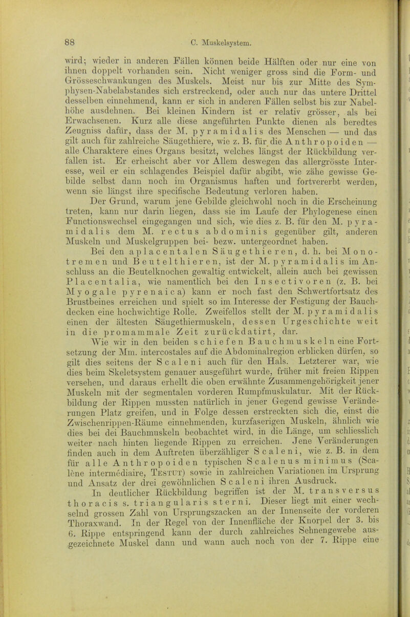 wird; wieder in anderen Fallen können beide Hälften oder nur eine von ihnen doppelt vorhanden sein. Nicht weniger gross sind die Form- und Grösseschwankungen des Muskels. Meist nur bis zur Mitte des Sym- physen-Nabelabstandes sich erstreckend, oder auch nur das untere Drittel desselben einnehmend, kann er sich in anderen Fällen selbst bis zur Nabel- höhe ausdehnen. Bei kleinen Kindern ist er relativ grösser, als bei Erwachsenen. Kurz alle diese angeführten Punkte dienen als beredtes Zeugniss dafür, dass der M. pyramidalis des Menschen— und das gilt auch für zahlreiche Säugethiere, wie z. B. für die Anthropoiden — alle Charaktere eines Organs besitzt, welches längst der Rückbildung ver- fallen ist. Er erheischt aber vor Allem deswegen das allergrösste Inter- esse, weil er ein schlagendes Beispiel dafür ahgibt, wie zähe gewisse Ge- bilde selbst dann noch im Organismus haften und fortvererht werden, wenn sie längst ihre specifische Bedeutung verloren haben. Der Grund, warum jene Gebilde gleichwohl noch in die Erscheinung treten, kann nur darin liegen, dass sie im Laufe der Phylogenese einen Functionswechsel eingegangen und sich, wie dies z. B. für den M. p yra- m i d a 1 i s dem M. r e c t u s abdominis gegenüber gilt, anderen Muskeln und Muskelgruppen bei- bezw. untergeordnet haben. Bei den aplacentalen Säugethier en, d. h. bei Mono- tremen und Beutelthieren, ist der M. pyramidalis im An- schluss an die Beutelknochen gewaltig entwickelt, allein auch bei gewissen Placentalia, wie namentlich bei den Insectivoren (z. B. bei M y o g a 1 e pyrenaica) kann er noch fast den Schwertfortsatz des Brustbeines erreichen und spielt so im Interesse der Festigung der Bauch- decken eine hochwichtige Rolle. Zweifellos stellt der M. pyramidalis einen der ältesten Säugethiermuskeln, dessen Urgeschichte weit in die promammale Zeit zurückdatirt, dar. Wie wir in den beiden schiefen Bauchmuskeln eine Fort- setzung der Mm. intercostales auf die Abdominalregion erblicken dürfen, so gilt dies seitens der S c a 1 e n i auch für den Hals. Letzterer war, wie dies beim Skeletsystem genauer ausgeführt wurde, früher mit freien Rippen versehen, und daraus erhellt die oben erwähnte Zusammengehörigkeit jener Muskeln mit der segmentalen vorderen Rumpfmuskulatur. Mit der Rück- bildung der Rippen mussten natürlich in jener Gegend gewisse Verände- rungen Platz greifen, und in Folge dessen erstreckten sich die, einst die Zwischenrippen-Räume einnehmenden, kurzfaserigen Muskeln, ähnlich wie dies bei dei Bauchmuskeln beobachtet wird, in die Länge, um schliesslich weiter nach hinten liegende Rippen zu erreichen. Jene Veränderungen finden auch in dem Auftreten überzähliger S c a 1 e n i, wie z. B. in dem für alle Anthropoiden typischen Scalenus min im u s (Sca- lene intermediaire, Testut) sowie in zahlreichen Variationen im Uispiung und Ansatz der drei gewöhnlichen S c a 1 e n i ihren Ausdruck. In deutlicher Rückbildung begriffen ist der M. transver sus thoracis s. triangularis sterni. Dieser liegt mit einer wech- selnd grossen Zahl von Ursprungszacken an der Innenseite dei voi deren Thoraxwand. In der Regel von der Innenfläche der Knorpel dei 3. bis 6. Rippe entspringend kann der durch zahlreiches Sehnengewebe aus- gezeichnete Muskel dann und wann auch noch von der 7. Rippe eine