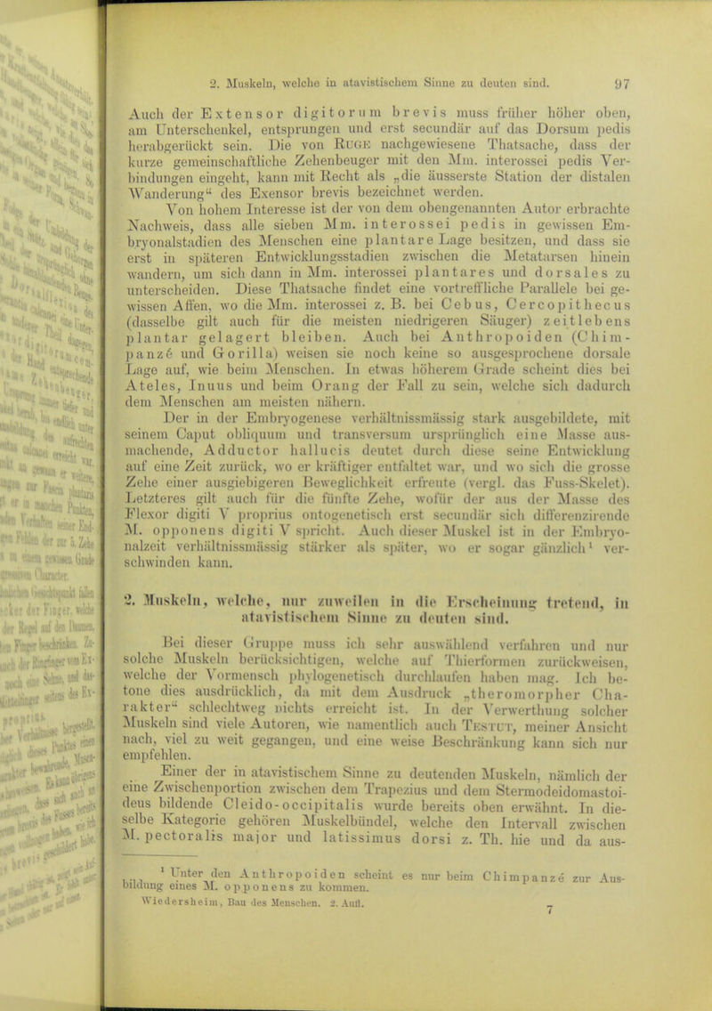 , v>itX « '•tili >AC !*iN f, vfc * 1) >^s '*r d i 2.  % i,:t 4*,|e#* ,1‘- ^k:4!Wen<ie -••i: ti|. 1, ■t“*r Ul ■’i 'lim A** «h . -, L Wi« i* ««. w r'w# pbtuii 1 f I» Bwtai Punkten 1,,H: m End!  ^ r zur 5. Zehe ■ • !■ i\ ^.-.seu Grad» «rt\w» Cbawcter. — 2. Muskeln, welche iu atavistischem Sinne zu deuten sind. 97 Auch der Extensor d i g i t o r u m b r e v i s muss friilxer höher oben, am Unterschenkel, entsprungen und erst secundär auf das Dorsum pedis herabgerückt sein. Die von Rüge nachgewiesene Thatsache, dass der kurze gemeinschaftliche Zehenbeuger mit den Mm. interossei pedis Ver- bindungen eingeht, kann mit Recht als „die äusserste Station der distalen Wanderung“ des Exensor brevis bezeichnet werden. Von hohem Interesse ist der von dem obengenannten Autor erbrachte Nachweis, dass alle sieben Mm. interossei pedis in gewissen Em- bryonalstadien des Menschen eine plantare Lage besitzen, und dass sie erst in späteren Entwicklungsstadien zwischen die Metatarsen hinein wandern, um sich dann in Mm. interossei plantares und dorsales zu unterscheiden. Diese Thatsache findet eine vortreffliche Parallele bei ge- wissen Affen, wo die Mm. interossei z. B. bei Cebus, Cercopithecus (dasselbe gilt auch fiir die meisten niedrigeren Säuger) zeitlebens plantar gelagert bleiben. Auch bei Anthropoiden (Chim- panz6 und Gorilla) weisen sie noch keine so ausgesprochene dorsale Lage auf, wie beim Menschen. In etwas höherem Grade scheint dies bei Atel es, In uns und beim Orang der Fall zu sein, welche sich dadurch dem Menschen am meisten nähern. Der in der Embryogenese verhältnissmässig stark ausgebildete, mit seinem Caput obliquum und transversum ursprünglich eine Masse aus- machende, Adductor hallucis deutet durch diese seine Entwicklung auf eine Zeit zurück, wo er kräftiger entfaltet war, und wo sich die grosse Zehe einer ausgiebigeren Beweglichkeit erfreute (vergl. das Fuss-Skelet). Letzteres gilt auch für die fünfte Zehe, wofür der aus der Masse des Flexor digiti V proprius ontogenetisch erst secundär sich differenzirende M. opponens digiti V spricht. Auch dieser Muskel ist in der Embryo- nalzeit verhältnissmässig stärker als später, wo er sogar gänzlich1 ver- schwinden kann. /iHi'iirit Ijttidtejdh tollen iclter der Finger, welche der M auf den Daumen, ,y.-.w hschriiiien. Zu- , |,, ipj^puiiEi- v . and das- ii-r pro i» her Ve •nktar br* .G* ■h an sm. A *uc ber?:T' uns < iG ■ • - «ai> älr Muskeln, welche, nur zuweilen in die Erscheinung tretend, in atavistischem Sinne zu deuten sind. Bei dieser Gruppe muss ich sehr auswählend verfahren und nur solche Muskeln berücksichtigen, welche auf Thierformen zurückweisen, welche der Vormensch phylogenetisch durchlaufen haben mag. Ich be- tone dies ausdrücklich, da mit dem Ausdruck „theromorpher Cha- rakter“ schlechtweg nichts erreicht ist. In der Verwerthung solcher Muskeln sind viele Autoren, wie namentlich auch Testet, meiner Ansicht nach, viel zu weit gegangen, und eine weise Beschränkung kann sich nur empfehlen. Einer der in atavistischem Sinne zu deutenden Muskeln, nämlich der eine Zwischenportion zwischen dem Trapezius und dem Stermodeidomastoi- deus bildende Cleido-occipitalis wurde bereits oben erwähnt. In die- selbe Kategorie gehören Muskelbündel, welche den Intervall zwischen M. pectoralis major und latissimus dorsi z. Th. hie und da aus- 1 Unter den Anthropoiden scheint es nur beim Chimpanze zur Aus- bildung eines M. opponens zu kommen.