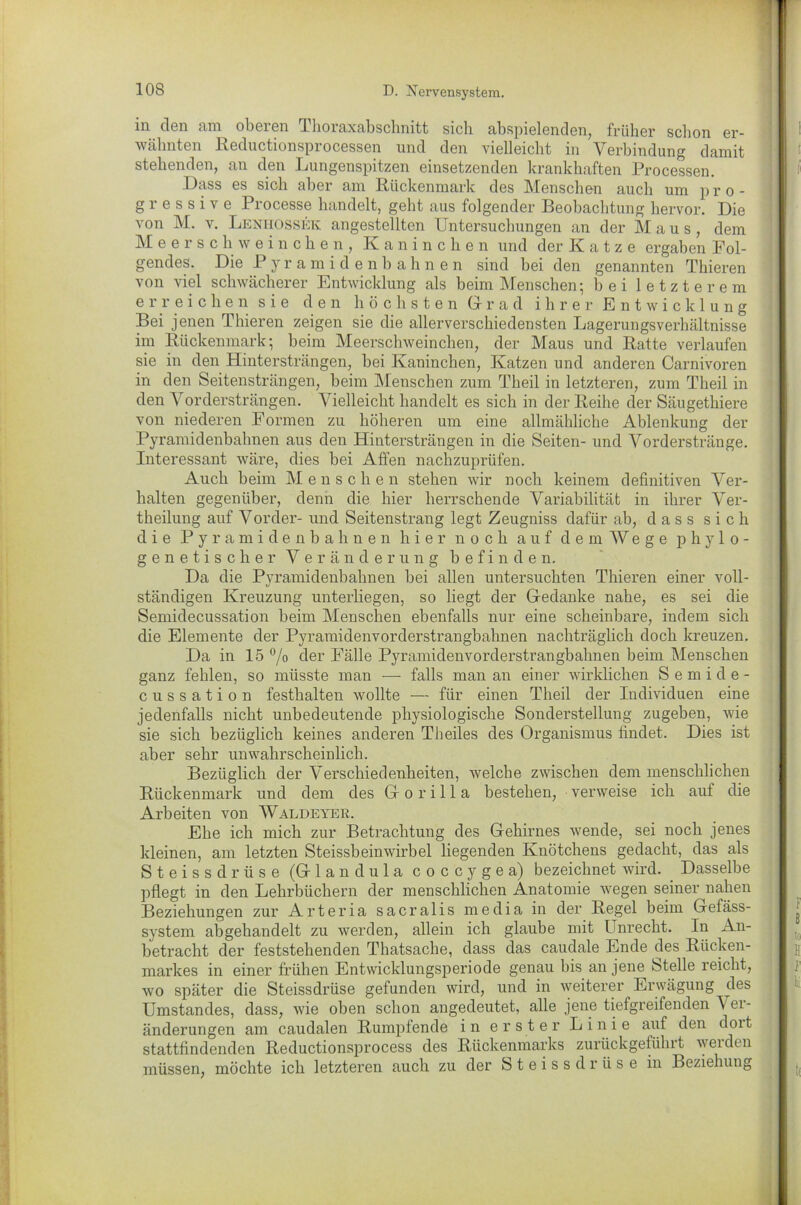 in den am oberen Thoraxabschnitt sich ab spielen den, früher schon er- wähnten ßeductionsprocessen und den vielleicht in Verbindung damit stehenden, an den Lungenspitzen einsetzenden krankhaften Processen. Dass es sich aber am Rückenmark des Menschen auch um pro- gressive Processe handelt, geht aus folgender Beobachtung hervor. Die von M. v. Lenhossek angestellten Untersuchungen an der Maus, dem Meerschweinchen, Kaninchen und der Katze ergaben Fol- gendes. Die P y r a m i d e n 1) ahne n sind hei den genannten Thieren von viel schwächerer Entwicklung als beim Menschen; hei letzterem erreichen sie den höchsten Gr r a d ihrer Entwicklung Bei jenen Thieren zeigen sie die allerverschiedensten Lagerungsverhältnisse im Rückenmark; beim Meerschweinchen, der Maus und Ratte verlaufen sie in den Hintersträngen, hei Kaninchen, Katzen und anderen Carnivoren in den Seitensträngen, beim Menschen zum Theil in letzteren, zum Theil in den Vordersträngen. Vielleicht handelt es sich in der Reihe der Säugethiere von niederen Formen zu höheren um eine allmähliche Ablenkung der Pyramidenbahnen aus den Hintersträngen in die Seiten- und Vorderstränge. Interessant wäre, dies bei Affen nachzuprüfen. Auch beim Menschen stehen wir noch keinem definitiven Ver- halten gegenüber, denn die hier herrschende Variabilität in ihrer Ver- theilung auf VOrder- und Seitenstrang legt Zeugniss dafür ab, dass sich die Pyramidenbahnen hier noch auf dem Wege phylo- genetischer Veränderung befinden. Da die Pyramidenbahnen bei allen untersuchten Thieren einer voll- ständigen Kreuzung unterliegen, so liegt der Gedanke nahe, es sei die Semidecussation beim Menschen ebenfalls nur eine scheinbare, indem sich die Elemente der Pyramidenvorderstrangbahnen nachträglich doch kreuzen. Da in 15 °/o der Fälle Pyramidenvorderstrangbahnen beim Menschen ganz fehlen, so müsste man — falls man an einer wirklichen Semide- cussation festhalten wollte — für einen Theil der Individuen eine jedenfalls nicht unbedeutende physiologische Sonderstellung zugeben, wie sie sich bezüglich keines anderen Th eiles des Organismus findet. Dies ist aber sehr unwahrscheinlich. Bezüglich der Verschiedenheiten, welche zwischen dem menschlichen Rückenmark und dem des Gorilla bestehen, verweise ich auf die Arbeiten von Waldeyer. Ehe ich mich zur Betrachtung des Gehirnes wende, sei noch jenes kleinen, am letzten Steissbeinwirbel liegenden Knötchens gedacht, das als Steissdrüse (Glandula coccygea) bezeichnet wird. Dasselbe pflegt in den Lehrbüchern der menschlichen Anatomie wegen seiner nahen Beziehungen zur Arteria sacralis media in der Regel beim Gefäss- system abgehandelt zu werden, allein ich glaube mit Unrecht. In An- betracht der feststehenden Thatsache, dass das caudale Ende des Rücken- markes in einer frühen Entwicklungsperiode genau bis an jene Stelle reicht, wo später die Steissdrüse gefunden wird, und in weiterer Erwägung des Umstandes, dass, wie oben schon angedeutet, alle jene tiefgreifenden \ ei- änderungen am caudalen Rumpfende in erster Linie auf den doit stattfindenden Reductionsprocess des Rückenmarks zurückgeführt werden müssen, möchte ich letzteren auch zu der Steissdrüse in Beziehung