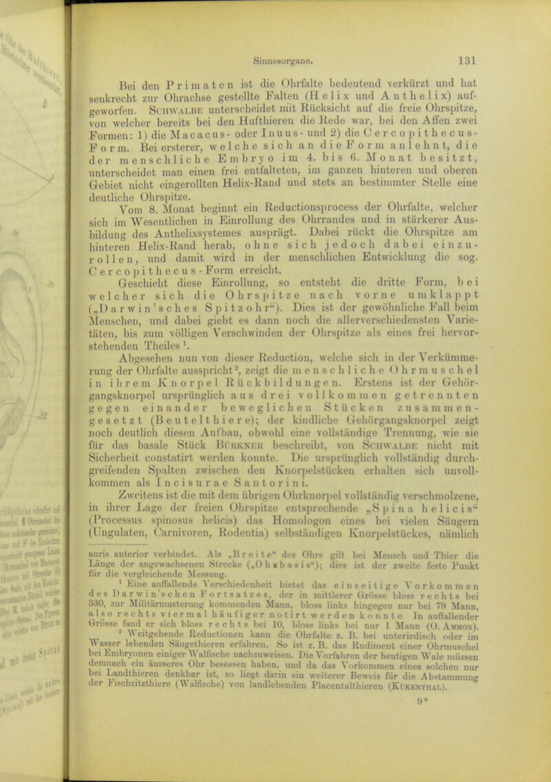Bei den Primaten ist die Ohrfalte bedeutend verkürzt und hat senkrecht zur Ohrachse gestellte Falten (Helix und A n t h e 1 i x) auf- geworfen. Schwalbe unterscheidet mit Rücksicht auf die freie Ohrspitze, von welcher bereits bei den Hufthieren die Rede war, bei den Alfen zwei Formen: 1) die Macacus- oder Inuus- und 2) die Cercop ithecus- Form. Bei ersterer, welche sich an dieForm anlehnt, die der menschliche Embryo im 4. b i s 6. Monat besitzt, unterscheidet man einen frei entfalteten, im ganzen hinteren und oberen Gebiet nicht eingerollten Helix-Rand und stets an bestimmter Stelle eine deutliche Ohrspitze. Vom 8. Monat beginnt ein Reductionsprocess der Ohrfalte, welcher sich im Wesentlichen in Einrollung des Ohrrandes und in stärkerer Aus- bildung des Anthelixsystemes ausprägt. Dabei rückt die Ohrspitze am hinteren Helix-Rand herab, ohne sich jedoch dabei einzu- rollen, und damit wird in der menschlichen Entwicklung die sog. Cercopithecus -Form erreicht. Geschieht diese Einrollung, so entsteht die dritte Form, bei welcher sich die Ohrspitze nach vorne umkl a p p t („D arwin’sches S p i t z o h ru). Dies ist der gewöhnliche Fall beim Menschen, und dabei giebt es dann noch die allerverschiedensten Varie- täten, bis zum völligen Verschwinden der Ohrspitze als eines frei hervor- stehenden Theiles b Abgesehen nun von dieser Reduction, welche sich in der Verkümme- rung der Ohrfalte ausspricht2, zeigt die m e n s c h 1 i c he < > h r m u s c h e 1 in ihrem Knorpel Rückbildungen. Erstens ist der Gehör- gangsknorpel ursprünglich aus drei vollkommen getrennte n gegen einander beweglichen Stücken zusammen- gesetzt (B e u t e 11 h i e r e); der kindliche Gehörgangsknorpel zeigt noch deutlich diesen Aufbau, obwohl eine vollständige Trennung, wie sie für das basale Stück Bluknku beschreibt, von Schwalbe nicht mit Sicherheit constatirt werden konnte. Die ursprünglich vollständig durch- greifenden Spalten zwischen den Knorpelstücken erhalten sich unvoll- kommen als Incisurae S a n t o r i n i. Zweitens ist die mit dem übrigen Ohrknorpel vollständig verschmolzene, in ihrer Lage der freien Ohrspitze entsprechende „Spina h e 1 i c i sa (Processus spinosus helicis) das Homologon eines bei vielen Säugern (Ungulaten, Carnivoren, Rodentia) selbständigen Knorpelstückes, nämlich miris anterior verbindet. Als „Breite“ des Ohrs gilt bei Mensch und Thier die Länge der angewachsenen Strecke („0 h »b a s i s“); dies ist der zweite feste Punkt für die vergleichende Messung. 1 Eine auffallende Verschiedenheit bietet das einseitige Vorkommen des Darwinschen Fortsatzes, der in mittlerer Grösse bloss rechts bei 330, zur MilitÜrmusterung kommenden Mann, bloss links hingegen nur bei 71» Mann, also rechts viermal häufiger n o t i r t werden konnte In auffallender Grösse fand er sich bloss rechts bei 10, bloss links bei nur 1 Mann (0. Ammon). s Weitgehende Reductionen kann die Ohrfalte z. B. bei unterirdisch oder im Wasser lebenden Säugethiereu erfahren. So ist z. B. das Rudiment einer Ohrmuschel bei Embryonen einiger Waltische uachzuweisen. Pie Vorfahren der heutigen Wale müssen demnach ein äusseres Ohr besessen haben, und da das Vorkommen eines solchen nur bei Landthieren denkbar ist, so liegt darin ein weiterer Beweis für die Abstammung der } ischzitzthiere (W alfische) von laudlebenden Placentalthieren (Ki kenthalj. 9*