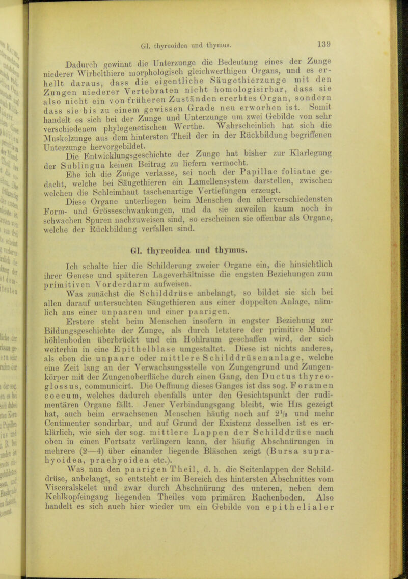 Gl. thyreoidea und thymus. Dadurch gewinnt die Unterzunge die Bedeutung eines der Zunge niederer Wirbelthiere morphologisch gleichwertigen Organs, und es er- hellt daraus, dass die eigentliche Säugetlnerzunge mit den Zungen niederer Vertebraten nicht homologisirbar, dass sie also nicht ein von früheren Zuständen ereibtes Organ, sondein dass sie bis zu einem gewissen Grade neu erworben ist. Somit handelt es sich bei der Zunge und Unterzunge um zwei Gebilde von sehr verschiedenem phylogenetischen Werthe. Wahrscheinlich hat sich die Muskelzunge aus dem hintersten Theil der m der Rückbildung begriffenen Unterzunge hervorgebildet. , A i Die Entwicklungsgeschichte der /^unge hat bisher zur Ivlailegung der Sublingua keinen Beitrag zu liefern vermocht. Ehe ich die Zunge verlasse, sei noch der Papillae foliatae ge- dacht, welche bei Säugethieren ein Lamellensystem darstellen, zwischen welchen die Schleimhaut taschenartige Vertiefungen erzeugt. Diese Organe unterliegen beim Menschen den allerverschiedensten Form- und Grösseschwankungen, und da sie zuweilen kaum noch in schwachen Spuren nachzuweisen sind, so erscheinen sie offenbar als Organe, welche der Rückbildung verfallen sind. Gl. thyreoidea und thymus. Ich schalte hier die Schilderung zweier Organe ein, die hinsichtlich ihrer Genese und späteren Lageverhältnisse die engsten Beziehungen zum primitiven Vorderdarm aufweisen. Was zunächst die Schilddrüse anbelangt, so bildet sie sich bei allen darauf untersuchten Säugethieren aus einer doppelten Anlage, näm- lich aus einer unpaaren und einer paarigen. Erstere steht beim Menschen insofern in engster Beziehung zur Bildungsgeschichte der Zunge, als durch letztere der primitive Mund- höhlenboden überbrückt und ein Hohlraum geschaffen wird, der sich weiterhin in eine Epithelblase umgestaltet. Diese ist nichts anderes, als eben die unpaare oder mittlere Schilddrüsenanlage, welche eine Zeit lang an der Verwachsungsstelle von Zungengrund und Zungen- körper mit der ZungenoberHäche durch einen Gang, den Ductus thyreo- glossus, communicirt. Die Oeffnung dieses Ganges ist das sog. ff oramen coecum, welches dadurch ebenfalls unter den Gesichtspunkt der rudi- mentären Organe lallt. Jener Verbindungsgang bleibt, wie His gezeigt hat, auch beim erwachsenen Menschen häutig noch auf 21/» und mehr Centimenter sondirbar, und auf Grund der Existenz desselben ist es er- klärlich, wie sich der sog. mittlere Lappen der Schilddrüse nach oben in eiuen Fortsatz verlängern kann, der häufig Abschnürungen in mehrere (2—4) über einander liegende Bläschen zeigt (Bursa supra- hyoidea, praehyoidea etc.). Was nun den paarigen Theil, d. h. die Seitenlappen der Schild- drüse, anbelangt, so entsteht er im Bereich des hintersten Abschnittes vom Visceralskelet und zwar durch Abschnürung des unteren, neben dem Kehlkopfeingang liegenden Theiles vom primären Rachenboden. Also handelt es sich auch hier wieder um ein Gebilde von epithelialer