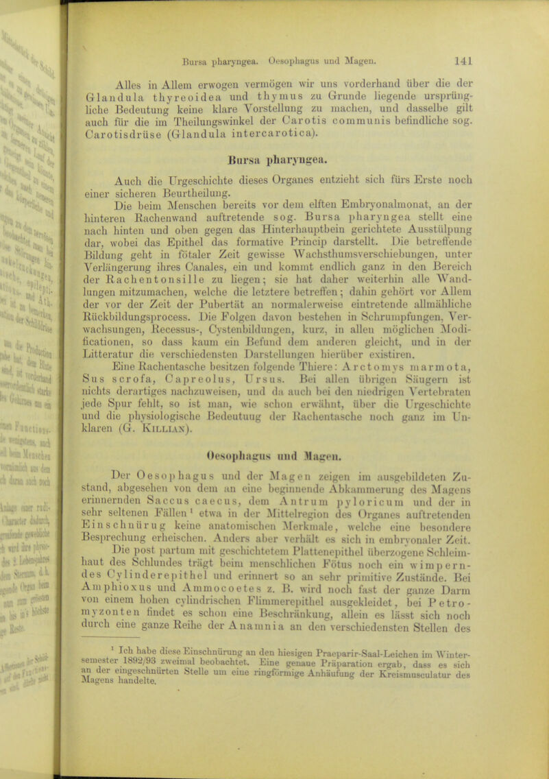 Alles in Allem erwogen vermögen wir uns vorderhand über die der Glandula thyreoidea und thymus zu Grunde liegende ursprüng- liche Bedeutung keine klare Vorstellung zu machen, und dasselbe gilt auch für die im Theilungswinkel der Carotis communis befindliche sog. Carotisdrüse (Glandula intercarotica). Bursa pharyngea. Auch die Urgeschichte dieses Organes entzieht sich fürs Erste noch einer sicheren Beurtheilung. Die heim Menschen bereits vor dem elften Embryonalmonat, an der hinteren Bachenwand auftretende sog. Bursa pharyngea stellt eine nach hinten und oben gegen das Hinterhauptbein gerichtete Ausstülpung dar, wobei das Epithel das formative Princip darstellt. Die betreffende Bildung geht in fötaler Zeit gewisse Wachsthumsverschiebungen, unter Verlängerung ihres Canales, ein und kommt endlich ganz in den Bereich der RachentonsiIle zu liegen; sie hat daher weiterhin alle Wand- lungen mitzumachen, welche die letztere betreffen; dahin gehört vor Allem der vor der Zeit der Pubertät an normalerweise eintretende allmähliche Rückbildungsprocess. Die Folgen davon bestehen in Schrumpfungen, Ver- wachsungen, Recessus-, Cystenbildungen, kurz, in allen möglichen Modi- ficationen, so dass kaum ein Befund dem anderen gleicht, und in der Litteratur die verschiedensten Darstellungen hierüber existiren. Eine Rachentasche besitzen folgende Thiere: Arctomvs marmota, Sus scrofa, Capreolus, Ursus. Bei allen übrigen Säugern ist nichts derartiges nachzuweisen, und da auch hei den niedrigen Vertebraten jede Spur fehlt, so ist man, wie schon erwähnt, über die Urgeschichte und die physiologische Bedeutuug der Rachentasche noch ganz im Un- klaren (G. Kjlliax). Oesophagus und Magen. Der Oesophagus und der Magen zeigen im ausgebildeten Zu- stand, abgesehen von dem an eine beginnende Abkaminerung des Magens erinnernden Saccus caecus, dem Antrum pylori cum und der in sehr seltenen Fällen1 etwa in der Mittelregion des Organes auftretenden Ein schnür ug keine anatomischen Merkmale, welche eine besondere Besprechung erheischen. Anders aber verhält es sich in embrvonaler Zeit. Die post partum mit geschichtetem Plattenepithel überzogene Schleim- haut des Schlundes trägt beim menschlichen Fötus noch ein wimpern- des Cylinderepithel und erinnert so an sehr primitive Zustände. Bei Amphioxus und Ammocoetes z. B. wird noch fast der ganze Darm von einem hohen cylindrischen Flimmerepithel ausgekleidet, hei Petro- myzonten findet es schon eine Beschränkung, allein es lässt sich noch durch eine ganze Reihe der Anamnia an den verschiedensten Stellen des . dles® Einschnürung an den hiesigen Praeparir-Saal-Leichen im Winter- semester 1892/93 zweimal beobachtet. Eine genaue Präparation ergab, dass es sich Marrens^andeh'eeiü6 rin&förmige Anhäufung der Kreismusculatur des