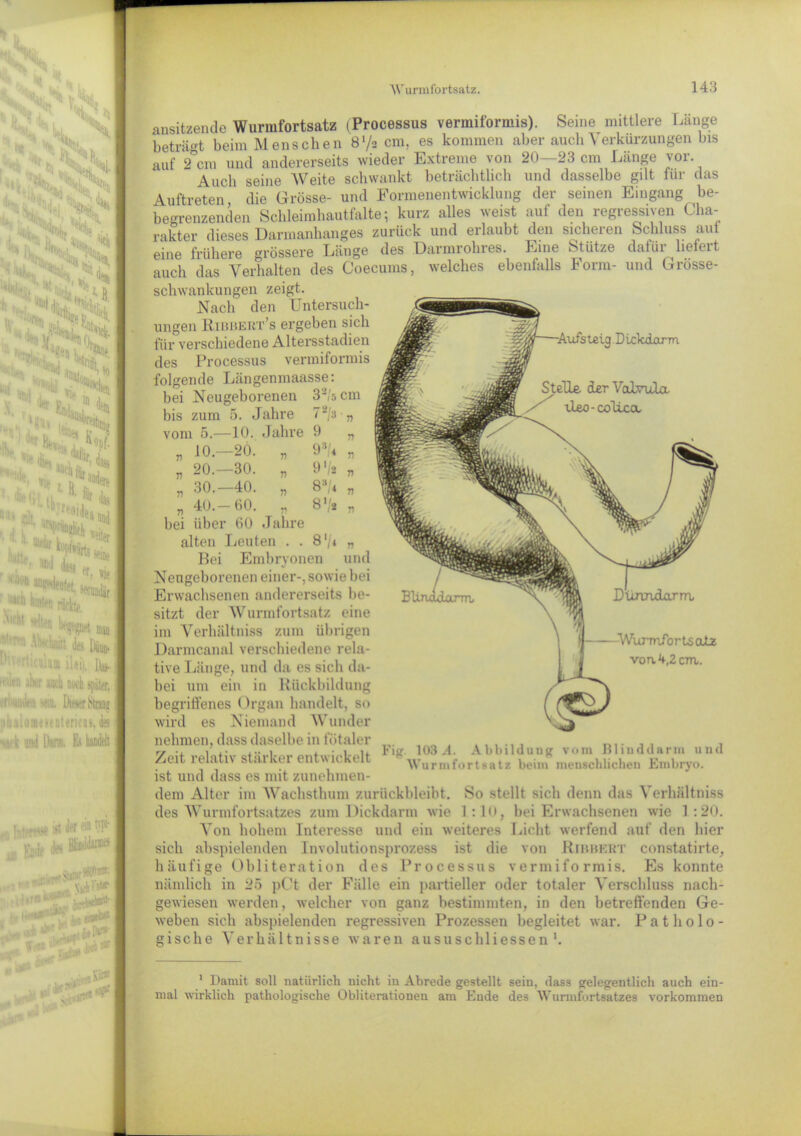 i-SSi % K Vff! jl* 1 «I Btaj,7.Sf. I H'.&M > »:■ ?,S lHü t| . illr 'las r; räcb. v ' ' '1 K'tpl m f ’• A^-hnin k Du». iltuu ilei), Djs- ,;'1 jKt «di nwb später. r*'Wi«irü L'it-vr Straau »; aioiaestntericus, Nack und Ihn». Es' r ist iltf «* tJPh r ;e fa BWteW .. +W*** Hf«*' *•»^‘1*** V' v:^- ansitzende Wurmfortsatz (Processus vermiformis). Seine mittlere Lange beträgt beim Menschen 8‘/2 cm. es kommen aber auch Verkürzungen bis auf 2 cm und andererseits wieder Extreme von 20—23 cm Länge vor. Auch seine Weite schwankt beträchtlich und dasselbe gilt für das Auftreten die Grösse- und Formenentwicklung der seinen Eingang be- begrenzenden Schleimhautfalte; kurz alles weist auf den regressiven Cha- rakter dieses Darmanhanges zurück und erlaubt den sicheren Schluss aut eine frühere grössere Länge des Darmrohres. Eine Stütze datiii lieieit auch das Verhalten des Coecums, welches ebenfalls Form- und Grösse- schwankungen zeigt. Nach den Untersuch- ungen Ribbeut’s ergeben sich für verschiedene Altersstadien des Processus vermiformis -Aufstetg.Dickdxxrm bei Neugeboi renen 3 J cm bis zum 5. Jahre 72/3 n vom 5.— -10. Jahre 9 n 77 10- -20. 77 93/4 n 77 20.- -30. 77 9'/a n 77 30.- -40. 77 8H/4 n 77 40.- -60. 77 8 V* V bei iiber 60 Jahre Stelle derValvula xleo-coUccx, 8'/i Wurmfortsatz von 4,2 cm. alten Leuten Bei Embryonen Neugeborenen einer-, sowie bei Erwachsenen andererseits be- sitzt der Wurmfortsatz eine im Verhältniss zum übrigen Darmcanal verschiedene rela- tive Länge, und da es sich da- bei um ein in Rückbildung begriffenes Organ handelt, st> wird es Niemand Wunder nehmen, dass daselbe in fötaler Zeit relativ stärker entwickelt ist und dass es mit zunehmen- dem Alter im Wachsthum zurückbleibt. So stellt sich denn das Verhältniss des Wurmfortsatzes zum Dickdarm wie l:lu, bei Erwachsenen wie 1:20. Von hohem Interesse und ein weiteres Licht werfend auf den hier sich abspielenden Involutionsprozess ist die von Ribbert constatirte. Kig 103.4. Abbildung vom Blinddarm und Wurmfortsatz beim menschlichen Embryo. häufige Obliteration des Processus vermiformis. Es konnte nämlich in 25 pCt der Fälle ein partieller oder totaler Verschluss nach- gewiesen werden, welcher von ganz bestimmten, in den betreffenden Ge- weben sich abspielenden regressiven Prozessen begleitet war. Patholo- gische Verhä 11nisse waren aususchliessen1. 1 Damit soll natürlich nicht in Abrede gestellt sein, dass gelegentlich auch ein- mal wirklich pathologische Obliterationen am Ende des Wurmfortsatzes Vorkommen