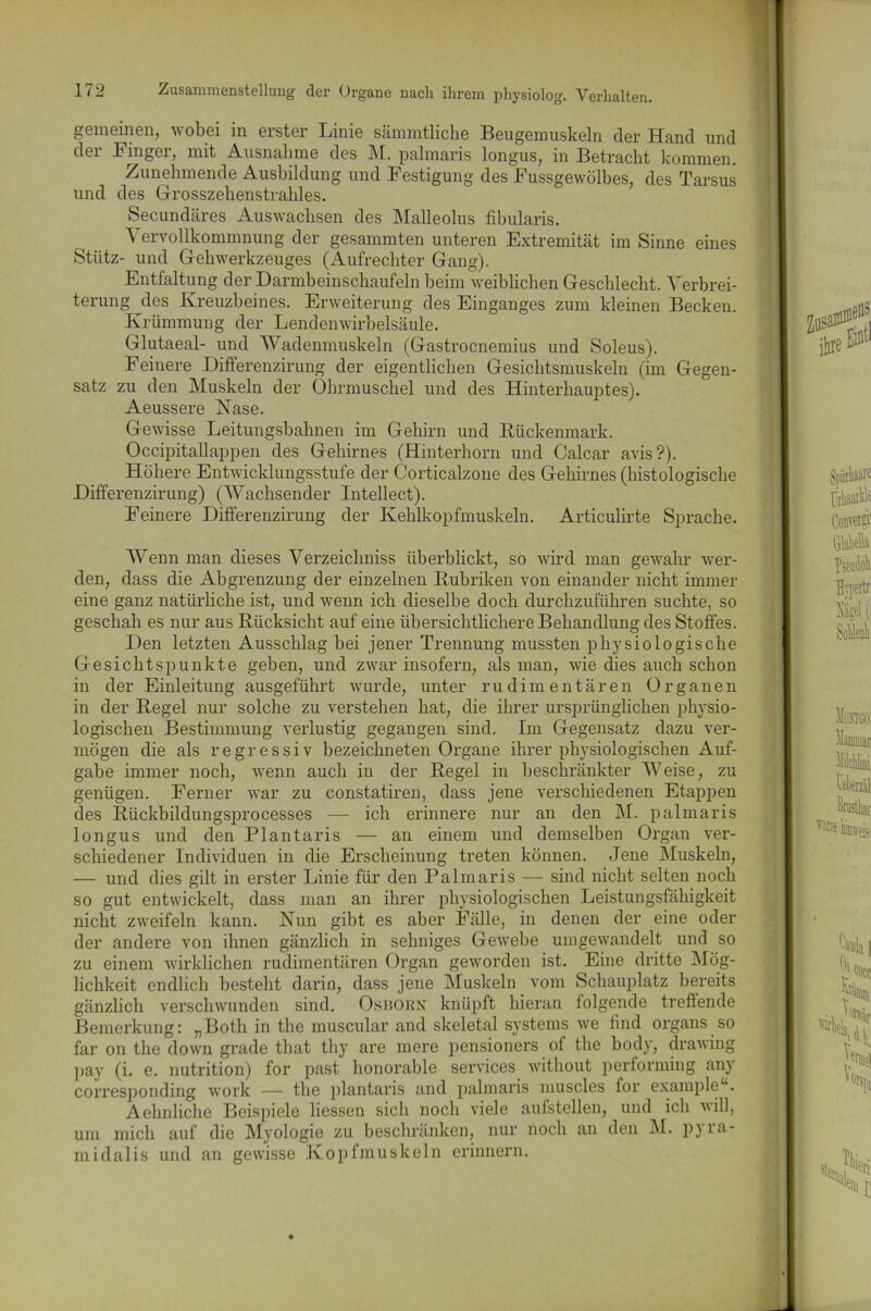 gemeinen, wobei in erster Linie sämmtliche Beugemuskeln der Hand und der Finger, mit Ausnahme des M. palmaris longus, in Betracht kommen. Zunehmende Ausbildung und Festigung des Fussgewölhes, des Tarsus und des Grosszehenstrahles. Secundäres Auswachsen des Malleolus fihularis. Vervollkommnung der gesammten unteren Extremität im Sinne eines Stütz- und Gehwerkzeuges (Aufrechter Gang). Entfaltung der Darmbeinschaufeln beim weiblichen Geschlecht. Verbrei- terung des Kreuzbeines. Erweiterung des Einganges zum kleinen Becken. Krümmung der Lendenwirbelsäule. Glutaeal- und Wadenmuskeln (Gastrocnemius und Soleus). Feinere Differenzirung der eigentlichen Gesichtsmuskeln (im Gegen- satz zu den Muskeln der Ohrmuschel und des Hinterhauptes). Aeussere Nase. Gewisse Leitungsbahnen im Gehirn und Rückenmark. Occipitallappen des Gehirnes (Hinterhorn und Calcar avis?). Höhere Entwicklungsstufe der Corticalzone des Gehirnes (histologische Differenzirung) (Wachsender Intellect). Feinere Differenzirung der Kehlkopfmuskeln. Articulirte Sprache. Wenn man dieses Verzeichniss überblickt, so wird man gewahr wer- den, dass die Abgrenzung der einzelnen Rubriken von einander nicht immer eine ganz natürliche ist, und wenn ich dieselbe doch durchzuführen suchte, so geschah es nur aus Rücksicht auf eine übersichtlichere Behandlung des Stoffes. Den letzten Ausschlag bei jener Trennung mussten physiologische Gesichtspunkte geben, und zwar insofern, als man, wie dies auch schon in der Einleitung ausgeführt wurde, unter rudimentären Organen in der Regel nur solche zu verstehen hat, die ihrer ursprünglichen physio- logischen Bestimmung verlustig gegangen sind. Im Gegensatz dazu ver- mögen die als regressiv bezeichneten Organe ihrer physiologischen Auf- gabe immer noch, wenn auch in der Regel in beschränkter Weise, zu genügen. Ferner war zu constatiren, dass jene verschiedenen Etappen des Rückbildungsprocesses — ich erinnere nur au den M. palmaris longus und den Plantaris — an einem und demselben Organ ver- schiedener Individuen in die Erscheinung treten können. Jene Muskeln, — und dies gilt in erster Linie für den Palmaris — sind nicht selten noch so gut entwickelt, dass man an ihrer physiologischen Leistungsfähigkeit nicht zweifeln kann. Nun gibt es aber Fälle, in denen der eine oder der andere von ihnen gänzlich in sehniges Gewebe umgewandelt und so zu einem wirklichen rudimentären Organ geworden ist. Eine dritte Mög- lichkeit endlich besteht darin, dass jene Muskeln vom Schauplatz bereits gänzlich verschwunden sind. Osborn knüpft hieran folgende treffende Bemerkung: „Botli in the muscular and skeletal Systems we find organs so far on the down grade that thy are mere pensioners of the body, drawing pay (i. e. nutrition) for past honorable Services without performing any corresponding work — the plantaris and palmaris muscles for exampleu. Aelmliche Beispiele Hessen sich noch viele aufstellen, und ich will, 11m mich auf die Myologie zu beschränken, nur noch an den M. pjia- midalis und an gewisse Kopfmuskeln erinnern.