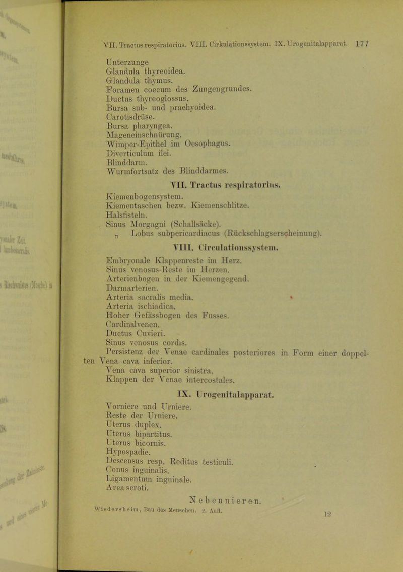 Unterzunge Glandula thyreoidea. Glandula thymus. Foramen coecum des Zungengrundes. Ductus tliyreoglossus. Bursa sub- und praehyoidea. Carotisdrüse. Bursa pharyngea. Mageneinschnürung. Wimper-Epithel im Oesophagus. Diverticulum ilei. Blinddarm. Wurmfortsatz des Blinddarmes. VII. Tractus respiratorius. Kiemenbogensystem. Kiementaschen bezw. Kiemenschlitze. Halstisteln. Sinus Morgagni (Schallsäcke). „ Lobus subpericardiacus (Kückschlagsersoheinung). VIII. Circulationssystein. Embryonale Klappenreste im Herz. Sinus venosus-Reste im Herzen. Arterienbogen in der Kiemengegend. Darmarterien. Arteria sacralis media. » Arteria ischiadica. Hoher Gefässbogen des Busses. (’ardinal venen. Ductus Cuvieri. Sinus venosus cordis. Persistenz der Yenae cardinales posteriores in Form einer doppel- ten Vena cava inferior. Vena cava superior sinistra. Klappen der Yenae intercostales. IX. Urogenitalapparat. Vomiere und Urniere. Reste der Urniere. Uterus duplex. I terus bipartitus. 1 terus bicornis. Hypospadie. Descensus resp. Reditus testiculi. Conus inguinalis. Ligamentum inguinale. Area scroti. Nebennieren. Wiedersheiin, Bau des Menschen. 2. Aufl. /