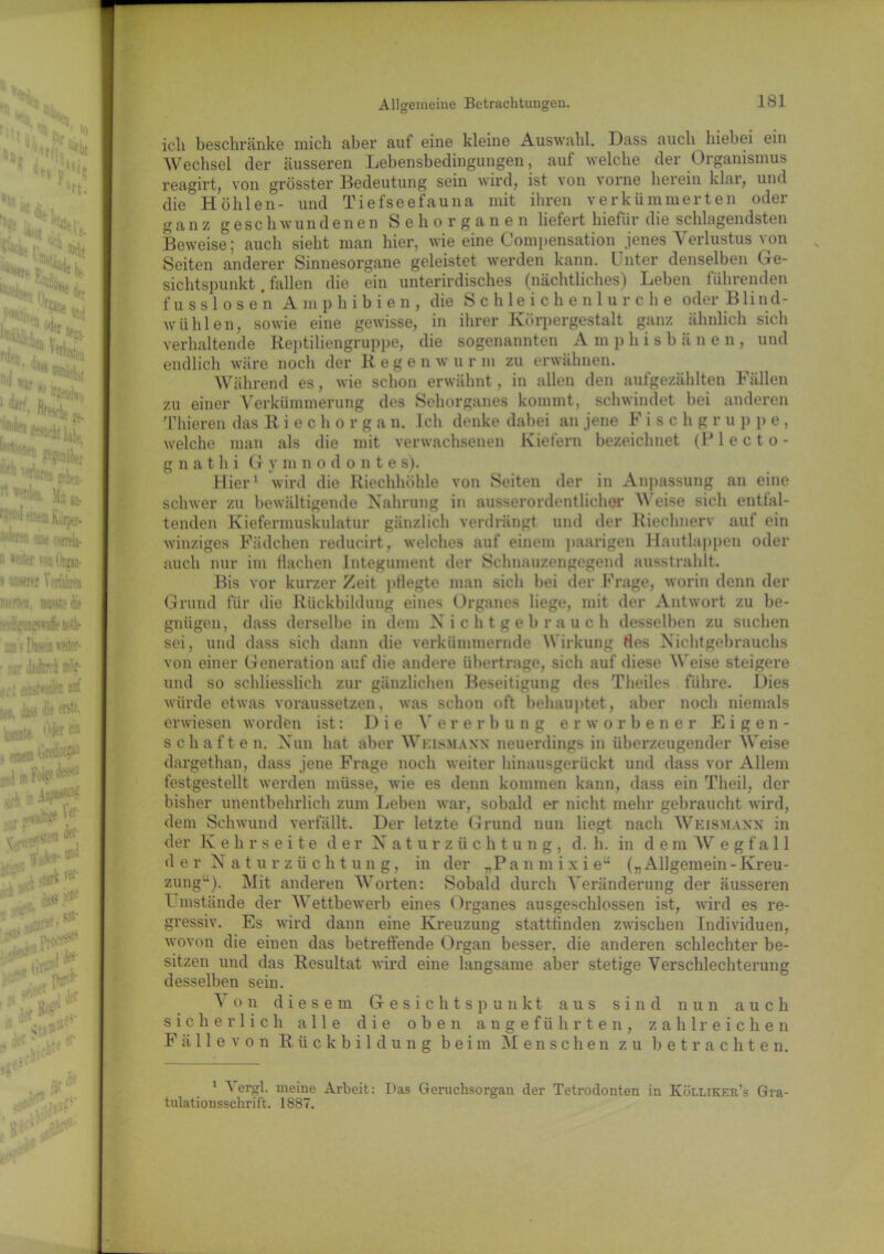 ich beschränke mich aber auf eine kleine Auswahl. Dass auch hiebei ein Wechsel der äusseren Lebensbedingungen, auf welche der Organismus reagirt, von grösster Bedeutung sein wird, ist von vorne herein klar, und die Höhlen- und Tiefseefauna mit ihren verkümmerten oder ganz geschwundenen Sehorganen liefert hiefür die schlagendsten Beweise; auch sieht man hier, wie eine Compensation jenes Verlustus von Seiten anderer Sinnesorgane geleistet werden kann. Unter denselben Ge- sichtspunkt . fallen die ein unterirdisches (nächtliches) Leben führenden fusslose'n Amphibien, die Schleichenlurche oder Blind- wühlen, sowie eine gewisse, in ihrer Körpergestalt ganz ähnlich sich verhaltende Reptiliengruppe, die sogenannten A m phisb&nen, und endlich wäre noch der Regen w u r m zu erwähnen. Während es, wie schon erwähnt, in allen den aufgezählten Fällen zu einer Verkümmerung des Sehorganes kommt, schwindet bei anderen T liieren das Riechorgan. Ich denke dabei an jene Fischgruppe, welche man als die mit verwachsenen Kiefern bezeichnet (Ulecto- g n a t h i G y m n o d o n t e s). Hier1 wird die Riechhöhle von Seiten der in Anpassung an eine schwer zu bewältigende Nahrung in ausserordentlicher Weise sich entfal- tenden Kiefermuskulatur gänzlich verdrängt und der Riechnerv auf ein winziges Fiidchen reducirt, welches auf einem paarigen Hautlappen oder auch nur im flachen Integument der Schnauzengegend ausstrahlt. Bis vor kurzer Zeit pflegte man sich bei der Frage, worin denn der Grund für die Rückbildung eines Organes liege, mit der Antwort zu be- gnügen, dass derselbe in dem Nichtgebrauch desselben zu suchen sei, und dass sich dann die verkümmernde Wirkung ries Nichtgebrauchs von einer Generation auf die andere übertrage, sich auf diese Weise steigere und so schliesslich zur gänzlichen Beseitigung des Theiles führe. Dies würde etwas voraussetzen, was schon oft behauptet, aber noch niemals erwiesen worden ist: Die Vererbung erworbener Eigen- schaften. Nun hat aber Wkismaxx neuerdings in überzeugender Weise dargethan, dass jene Frage noch weiter hinausgerückt und dass vor Allem festgestellt werden müsse, wie es denn kommen kann, dass ein Theil, der bisher unentbehrlich zum Leben war, sobald er nicht mehr gebraucht wird, dem Schwund verfällt. Der letzte Grund nun liegt nach Wkismaxx in der Kehrseite der Naturzüchtung, d. h. in dem Wegfall der Naturzüchtung, in der „Panmixie“ („Allgemein-Kreu- zung14). Mit anderen Worten: Sobald durch Veränderung der äusseren t mstände der Wettbewerb eines Organes ausgeschlossen ist, wird es re- gressiv. Es wird dann eine Kreuzung statttinden zwischen Individuen, wovon die einen das betreffende Organ besser, die anderen schlechter be- sitzen und das Resultat wird eine langsame aber stetige Verschlechterung desselben sein. Von diesem Gesichtspunkt aus sind nun auch sicherlich alle die oben angeführten, zahlreichen F ä 11 e v o n Rückbildung beim Menschen zu betrachten. 1 ergl. meine Arbeit: Das Geruchsorgau der Tetrodonten in Kölliker’s Gra- tulationsschrift. 1887.