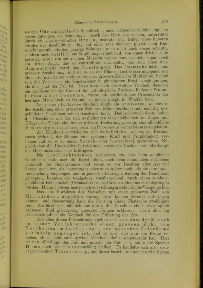 wetrte Ohrmuscheln die Schallwellen einer nahenden G-efahr ungleich besser zutrugen, als heutzutage. Auch das Geruchsvermögen, unterstützt durch ein JAKOBSOx’sches Organ, erfreute sich früher eines höheren Grades der Ausbildung. Ja, auf einer sehr niederen phyletischen Ent- wicklungsstufe, als das paarige Sehorgan noch nicht nach vorne schaute, sondern noch seitlich am Kopfe angeordnet und, von einem dritten Lide gestützt, sowie von zahlreichen Muskeln regiert war, existirte sogar noch ein drittes Auge, das zu controlliren vermochte, was sich über dem Haupte abspielte (vergl. das Pinealorgan). Das Darmrohr hatte eine grössere Ausdehnung, und da es so der Pflanzenkost besser angepasst war als heute (man denke auch an die einst grössere Zahl der Mahlzähne) befand sich der Vormensch als Vegetarianer in günstigeren Existenzbedingungen, als dies jetzt der Fall ist. Dazu kam noch der weitere Vortheil, dass der ein prädisponirendes Moment für pathologische Prozesse bildende Wurm- fortsatz des Coecu ms, woran ein beträchtlicher Procentsatz der heutigen Menschheit zu Grunde zu gehen pflegt, in Wegfall kam. Auf dieses plantivore Stadium folgte ein omnivores, welches in der Ausbildung einer grösseren Zahl von Schneidezähnen und mächtig aus- gebildeten Eckzähnen seinen Ausdruck fand. Dadurch'wurde dann, indem die Fleischkost mit der sich ausbildenden Geschicklichkeit im Jagen und Erlegen der Thiere eine immer grössere Bedeutung gewann, eine allmähliche Verkürzung des Darmrohres, bezw. ein Processus vermiformis angebahnt. Am Kehlkopf entwickelten sich Schallsäcke, welche, als Resona- toren wirkend, der Stimme eine grössere Kraft und Tragfähigkeit ver- liehen und sie so zu einem Schrek- oder Lockmittel gestalteten. Zu- gleich war die Unterkiefer-Entwicklung, sowie die Nacken- wie überhaupt die Halsmuskulatur eine kräftigere. Die Geschlechtsdrüsen verharrten, wie dies beim weiblichen Geschlecht heute noch die Kegel bildet, auch beim männlichen zeitlebens innerhalb des Bauchraumes und waren so vor Insulten aller Art viel besser geschützt, als heutzutage; aber auch später noch, als sie eine Lage- verschiebung eingiengen und in jenen beutelartigen Anhang der Bauchhaut gelangten, konnten sie wenigstens vorübergehend durch einen wohlaus- gebildeten Hebemuskel (Cremaster) in das Cavum abdominis zurückgezogen werden. Hierauf weisen heute noch entwicklungsgeschichtliche Vorgänge hin. Dass die Vorfahren des Menschen mit einer grösseren Zahl von M i 1 c h d r ii s e n ausgerüstet waren, wird keinem Zweifel unterliegen können, und ebensowenig kann die Deutung dieser Thatsache zweifelhaft sein. Sie lässt sich nämlich nur durch die Annahme einer ursprünglich grösseren Zahl gleichzeitig erzeugter Jungen erklären. Darin aber lag selbstverständlich ein Vortheil für die Erhaltung der Art. Aus allen diesen Betrachtungen geht also hervor, dass der Mensch in seiner Vor fahren reihe einer grossen Zahl von V ortheilen im Laufe langer geologischer Zeiträume verlustig gegangen ist, und es wird sich nun die Fi’age er- heben, ob er nicht auch gewisse Vortheile dafür eingetauscht hat. Dies ist nun allerdings der Fall und musste der Fall sein, sollte die Species Homo auch fernerhin existenzfähig bleiben. Es handelte sich also sozu- sagen um einen Tauschvertrag, und dieser basirte, um nur den wichtigsten