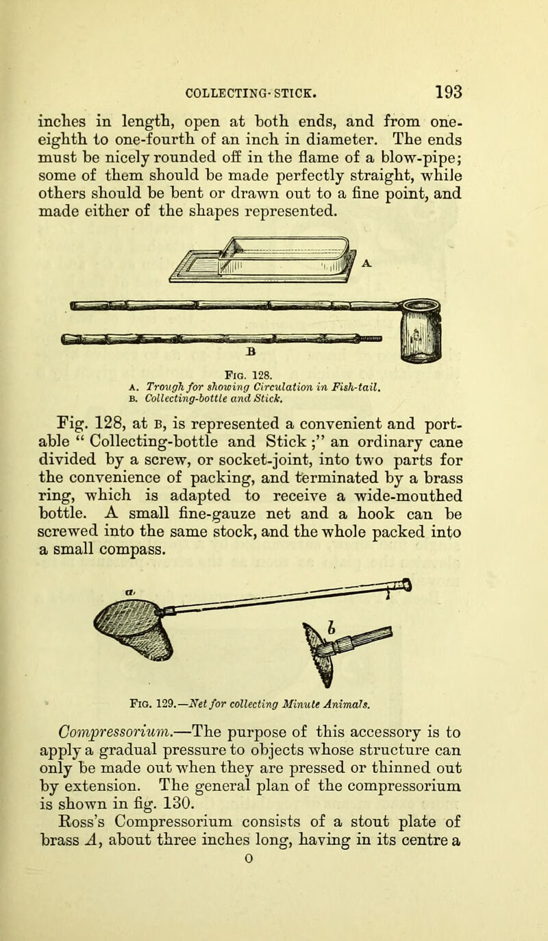 inches in length, open at both ends, and from one- eighth to one-fourth of an inch in diameter. The ends must be nicely rounded off in the flame of a blow-pipe; some of them should be made perfectly straight, while others should be bent or drawn out to a fine point, and made either of the shapes represented. Fig. 128. A. Trough for showing Circulation in Fish-tail. b. Collecting-bottle and Stick. Fig. 128, at B, is represented a convenient and port- able “ Collecting-bottle and Stick an ordinary cane divided by a screw, or socket-joint, into two parts for the convenience of packing, and terminated by a brass ring, which is adapted to receive a wide-mouthed bottle. A small fine-gauze net and a hook can be screwed into the same stock, and the whole packed into a small compass. Fig. 129.—Net for collecting Minute Animals. Compressorium.—The purpose of this accessory is to apply a gradual pressure to objects whose structure can only be made out when they are pressed or thinned out by extension. The general plan of the compressorium is shown in fig. 130. Ross’s Compressorium consists of a stout plate of brass A, about three inches long, having in its centre a o