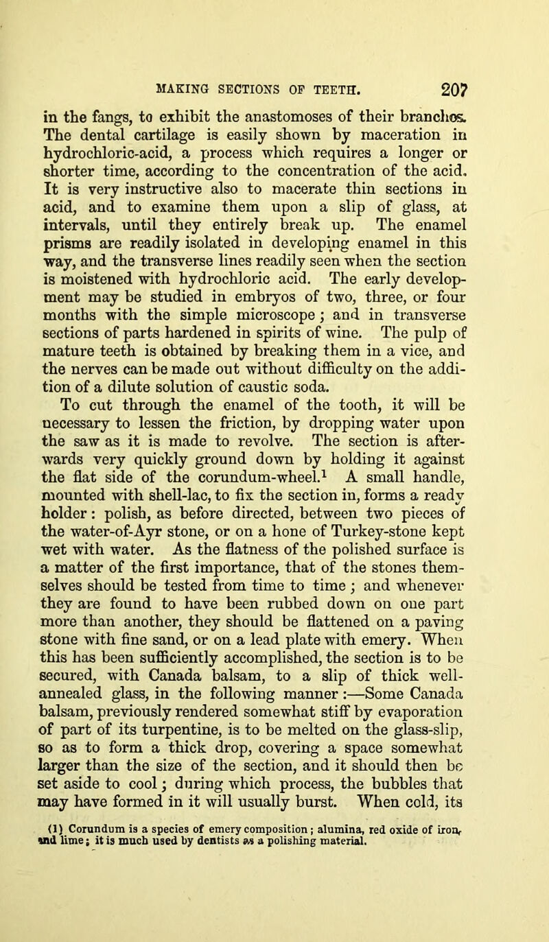 MAKING SECTIONS OP TEETH. 20? in the fangs, to exhibit the anastomoses of their brandies. The dental cartilage is easily shown by maceration in hydrochloric-acid, a process which requires a longer or shorter time, according to the concentration of the acid. It is very instructive also to macerate thin sections in acid, and to examine them upon a slip of glass, at intervals, until they entirely break up. The enamel prisms are readily isolated in developing enamel in this way, and the transverse lines readily seen when the section is moistened with hydrochloric acid. The early develop- ment may be studied in embryos of two, three, or four months with the simple microscope ; and in transverse sections of parts hardened in spirits of wine. The pulp of mature teeth is obtained by breaking them in a vice, and the nerves can be made out without difficulty on the addi- tion of a dilute solution of caustic soda. To cut through the enamel of the tooth, it will be necessary to lessen the friction, by dropping water upon the saw as it is made to revolve. The section is after- wards very quickly ground down by holding it against the flat side of the corundum-wheel.1 A small handle, mounted with shell-lac, to fix the section in, forms a ready holder: polish, as before directed, between two pieces of the water-of-Ayr stone, or on a hone of Turkey-stone kept wet with water. As the flatness of the polished surface is a matter of the first importance, that of the stones them- selves should be tested from time to time ; and whenever they are found to have been rubbed down on one part more than another, they should be flattened on a paving stone with fine sand, or on a lead plate with emery. When this has been sufficiently accomplished, the section is to be secured, with Canada balsam, to a slip of thick well- annealed glass, in the following manner :—Some Canada balsam, previously rendered somewhat stiff by evaporation of part of its turpentine, is to be melted on the glass-slip, so as to form a thick drop, covering a space somewhat larger than the size of the section, and it should then be set aside to cool; during which process, the bubbles that may have formed in it will usually burst. When cold, its (1) Corundum is a species of emery composition; alumina, red oxide of iron, util lime; it is much used by dentists as a polishing material.