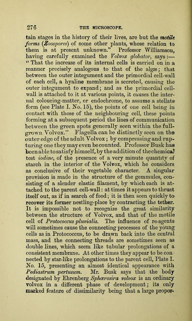 tain stages in the history of their lives, are but the motile forms (Zoospores) of some other plants, whose relation to them is at present unknown.” Professor Williamson, having carefully examined the Volvox globator, says :— “ That the increase of its internal cells is carried on in a manner precisely analogous to that of the algse; that between the outer integument and the primordial cell-wall of each cell, a hyaline membrane is secreted, causing the outer integument to expand; and as the primordial cell- wall is attached to it at various points, it causes the inter- nal colouring-matter, or endochrome, to assume a stellate form (see Plate I. No. 15), the points of one cell being in contact with those of the neighbouring cell, these points forming at a subsequent period the lines of communication between the green spots generally seen within the full- grown Volvox.” Flagella can be distinctly seen on the outer edge of the adult Volvox; by compressing and rup- turing one they may even be counted. Professor Busk has been able to satisfy himself, by the addition of the chemical test iodine, of the presence of a very minute quantity of starch in the interior of the Volvox, which he considers as conclusive of their vegetable character. A singular provision is made in the structure of the gemmules, con- sisting of a slender elastic filament, by which each is at- tached to the parent cell-wall: at times it appears to thrust itself out, as if in search of food; it is then seen quickly to recover its former nestling-place by contracting the tether. It is impossible not to recognize the great similarity between the structure of Volvox, and that of the motile cell of Protococcus pluvialis. The influence of re-agents will sometimes cause the connecting processes of the young cells as in Protococcus, to be drawn back into the central mass, and the connecting threads are sometimes seen as double lines, which seem like tubular prolongations of a consistent membrane. At other times they appear to be con ■ nected by star-like prolongations to the parent cell, Plate I. No. 15, presenting an almost identical appearance with Pediastrum pertusum. Mr. Busk says that the body designated by Ehrenberg Sphcerosira volvox is an ordinary volvox in a different phase of development; its only marked feature of dissimilarity being that a large propor-