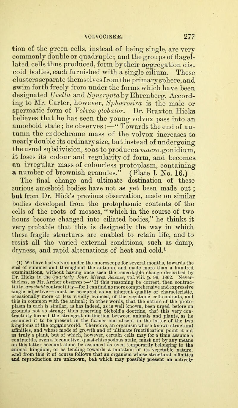 tion of the green cells, instead of being single, are very commonly double or quadruple; and the groups of flagel- lated cells thus produced, form by their aggregation dis- coid bodies, each furnished with a single cilium. These clusters separate themselves from the primary sphere, and swim forth freely from under the forms which have been designated Uvella and Syncrypta'bj Ehrenberg. Accord- ing to Mr. Carter, however, Sphcerosira is the male or spermatic form of Volvox globator. Dr. Braxton Hicks believes that he has seen the young volvox pass into an amoeboid state; lie observes :—“ Towards the end of au- tumn the endochrome mass of the volvox increases to nearly double its ordinary size, but instead of undergoing the usual subdivision, so as to produce a macro-gonidium, it loses its colour and regularity of form, and becomes an irregular mass of colourless protoplasm, containing a number of brownish granules.” (Plate I. No. 16.) The final change and ultimate destination of these curious amoeboid bodies have not as yet been made out; but from Dr. Hick’s previous observation, made on similar bodies developed from the protoplasmic contents of tho cells of the roots of mosses, “ which in the course of two hours become changed into ciliated bodies,” he thinks it very probable that this is designedly the way in which these fragile structures are enabled to retain life, and to resist all the varied external conditions, such as damp, dryness, and rapid alternations of heat and cold.1 (1) We have had volvox under the microscope for several months, towards the end of summer and throughout the autumn, and made more than a hundred examinations, without having once seen the remarkable change described by Dr. Hicks in the Quarterly Jour. Micros. Science, vol. viii. p. 96, 1862. Never- theless, as Mr. Archer observes:—“ If this reasoning be correct, then contrac- tility, amoeboid contractility—for I can find no more comprehensive and expressive single adjeetive — must be accepted as an inherent quality or characteristic, occasionally more or less vividly evinced, of the vegetable cell-contents, and this in common with the animal; in other words, that the nature of the proto- plasm in each is similar, as has indeed, as is well known, been urged before on grounds not so strong; thus reserving Siebold’s doctrine, that this very con- tractility formed the strongest distinction between animals and plants, as he assumed it to be present in the former and absent in the latter of the two kingdoms of the orgapic world. Therefore, an organism whose known structural affinities, and whose mode of growth and of ultimate fructification point it out as truly a plant, but of which, however, certain cells may for a time assume a contractile, even a locomotive, quasi-rhizopodous state, must not by any means on this latter account alone be assumed as even temporarily belonging to the animal kingdom, or as tending towards a mutation of its vegetable nature, and from this it of course follows that an organism whose structural affinities and reproduction are unknown, but which may possibly present an actively