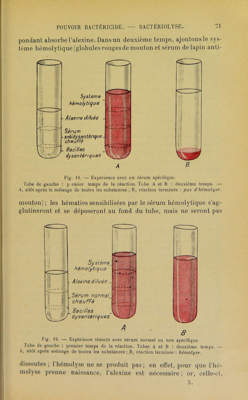 pondant absorbe l’alexine. Dans un deuxième temps, ajoutons le sys- tème hémolytique (globules rouges de mouton et sérum de lapin anti- SystèmB hémolyticjue Alexine di/uée Sérum antidysenténque chauffé Bacilles dysentériques A Fig. 18. — Expérience avec un sérum spécifique. Tube de gauche ; p emier temps de la réaction. Tube A et B ; deuxième temps. — A, sitôt après le mélange de toutes les substances ; B, réaction terminée : pas d'hémolyse. mouton); les hématies sensibilisées par le sérum hémolytique s’ag- glutineront et se déposeront au fond du tube, mais ne seront pas A B Fig. 19. — Expérience témoin avec sérum normal ou non spécifique. Tube de gauche : premier temps de la réaction. Tubes A et B : deuxième temps. — A, sitôt après mélange de toutes les substances ; B, réaction terminée : hémolyse. dissoutes; l’hémolyse ne se produit pas; en effet, pour que l’hé- molyse prenne naissance, l’alexine est nécessaire ; or, celle-ci,