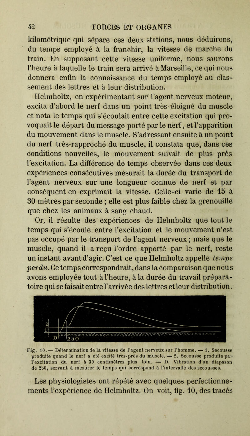 kilométrique qui sépare ces deux stations, nous déduirons, du temps employé à la franchir, la vitesse de marche du train. En supposant cette vitesse uniforme, nous saurons l’heure à laquelle le train sera arrivé à Marseille, ce qui nous donnera enfin la connaissance du temps employé au clas- sement des lettres et à leur distribution. Helmholtz, en expérimentant sur l’agent nerveux moteur, excita d’abord le nerf dans un point très-éloigné du muscle et nota le temps qui s’écoulait entre cette excitation qui pro- voquait le départ du message porté par le nerf, et l’apparition du mouvement dans le muscle. S’adressant ensuite à un point du nerf très-rapproché du muscle, il constata que, dans ces conditions nouvelles, le mouvement suivait de plus près l’excitation. La différence de temps observée dans ces deux expériences consécutives mesurait la durée du transport de l’agent nerveux sur une longueur connue de nerf et par conséquent en exprimait la vitesse. Celle-ci varie de 15 à 30 mètres par seconde ; elle est plus faible chez la grenouille que chez les animaux à sang chaud. Or, il résulte des expériences de Helmholtz que tout le temps qui s’écoule entre l’excitation et le mouvement n’est pas occupé par le transport de l’agent nerveux; mais que le muscle, quand il a reçu l’ordre apporté par le nerf, reste un instant avant d’agir. C’est ce que Helmholtz appelle temps perdu. Ce temps correspondrait, dans la comparaison que nous avons employée tout à l’heure, à la durée du travail prépara- toire qui se faisait entre l’arrivée deslettres et leur distribution. Fig. 10. — Détermination de la vitesse de l’agent nerveux sur l’homme. — 1. Secousse produite quand le nerf a été excité très-près du muscle. — 2. Secousse produite par l’excitation du nerf à 30 centimètres plus loin. — D. Vibration d’un diapason de 250, servant à mesurer le temps qui correspond à l’intervalle des secousses. Les physiologistes ont répété avec quelques perfectionne- ments l’expérience de Helmholtz. On voit, fig. 10, des tracés