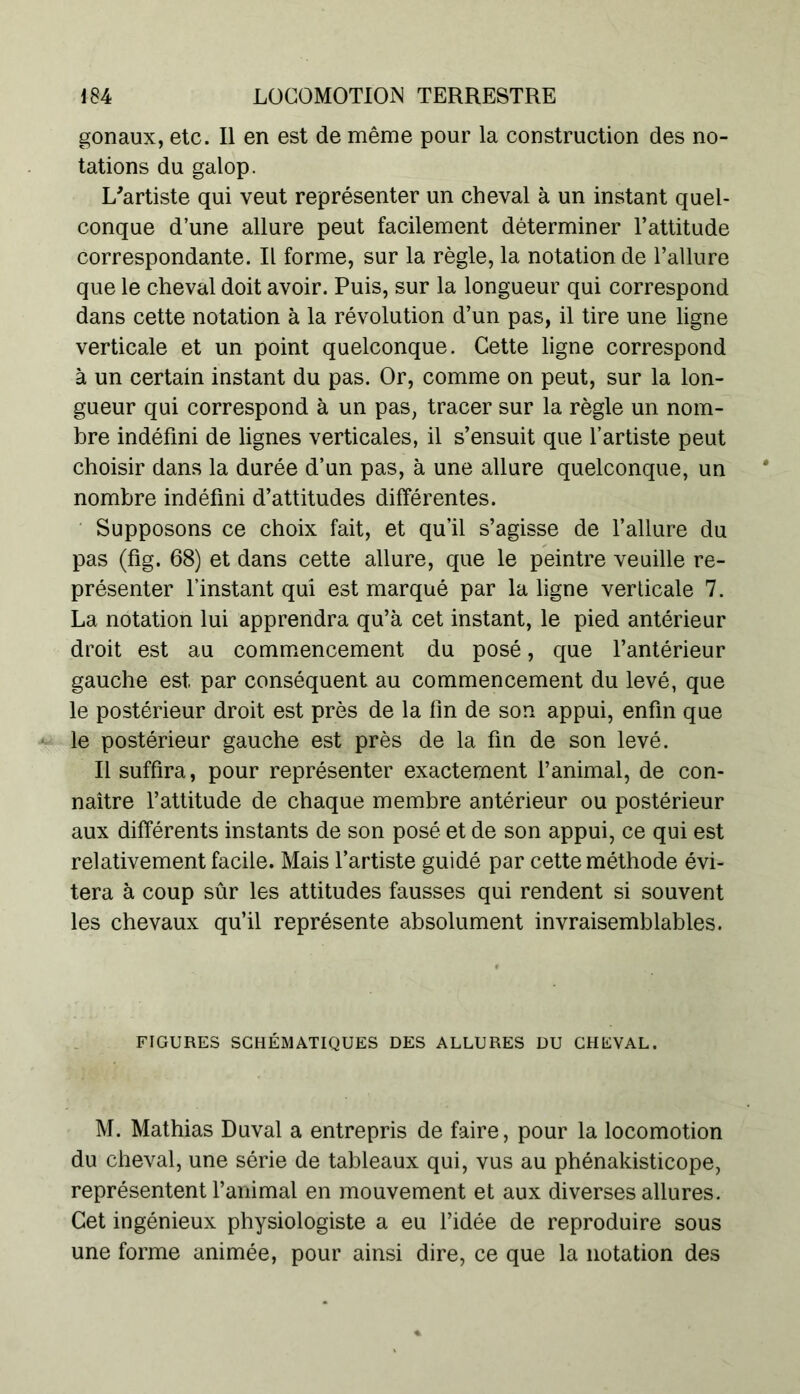 gonaux, etc. Il en est de même pour la construction des no- tations du galop. L'artiste qui veut représenter un cheval à un instant quel- conque d’une allure peut facilement déterminer l’attitude correspondante. Il forme, sur la règle, la notation de l’allure que le cheval doit avoir. Puis, sur la longueur qui correspond dans cette notation à la révolution d’un pas, il tire une ligne verticale et un point quelconque. Cette ligne correspond à un certain instant du pas. Or, comme on peut, sur la lon- gueur qui correspond à un pas, tracer sur la règle un nom- bre indéfini de lignes verticales, il s’ensuit que l’artiste peut choisir dans la durée d’un pas, à une allure quelconque, un nombre indéfini d’attitudes différentes. Supposons ce choix fait, et qu’il s’agisse de l’allure du pas (fig. 68) et dans cette allure, que le peintre veuille re- présenter l’instant qui est marqué par la ligne verticale 7. La notation lui apprendra qu’à cet instant, le pied antérieur droit est au commencement du posé, que l’antérieur gauche est par conséquent au commencement du levé, que le postérieur droit est près de la fin de son appui, enfin que le postérieur gauche est près de la fin de son levé. Il suffira, pour représenter exactement l’animal, de con- naître l’attitude de chaque membre antérieur ou postérieur aux différents instants de son posé et de son appui, ce qui est relativement facile. Mais l’artiste guidé par cette méthode évi- tera à coup sûr les attitudes fausses qui rendent si souvent les chevaux qu’il représente absolument invraisemblables. FIGURES SCHÉMATIQUES DES ALLURES DU CHEVAL. M. Mathias Duval a entrepris de faire, pour la locomotion du cheval, une série de tableaux qui, vus au phénakisticope, représentent l’animal en mouvement et aux diverses allures. Cet ingénieux physiologiste a eu l’idée de reproduire sous une forme animée, pour ainsi dire, ce que la notation des