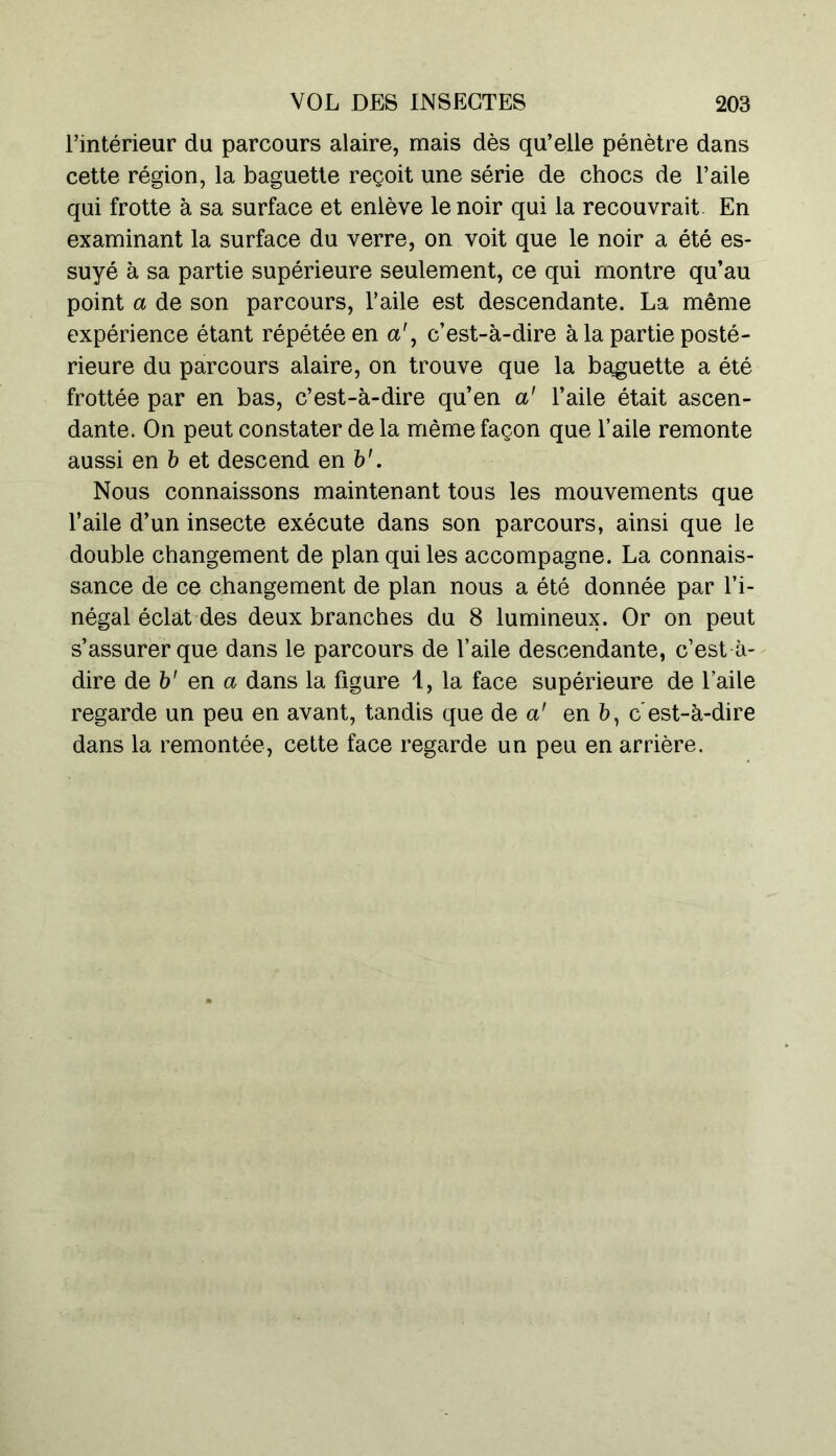 l’intérieur du parcours alaire, mais dès qu’elle pénètre dans cette région, la baguette reçoit une série de chocs de l’aile qui frotte à sa surface et enlève le noir qui la recouvrait En examinant la surface du verre, on voit que le noir a été es- suyé à sa partie supérieure seulement, ce qui montre qu’au point a de son parcours, l’aile est descendante. La même expérience étant répétée en a', c’est-à-dire à la partie posté- rieure du parcours alaire, on trouve que la baguette a été frottée par en bas, c’est-à-dire qu’en a' l’aile était ascen- dante. On peut constater de la même façon que l’aile remonte aussi en b et descend en b'. Nous connaissons maintenant tous les mouvements que l’aile d’un insecte exécute dans son parcours, ainsi que le double changement de plan qui les accompagne. La connais- sance de ce changement de plan nous a été donnée par l’i- négal éclat des deux branches du 8 lumineux. Or on peut s’assurer que dans le parcours de l’aile descendante, c’est à- dire de à' en a dans la figure 1, la face supérieure de l’aile regarde un peu en avant, tandis que de a' en b, c'est-à-dire dans la remontée, cette face regarde un peu en arrière.