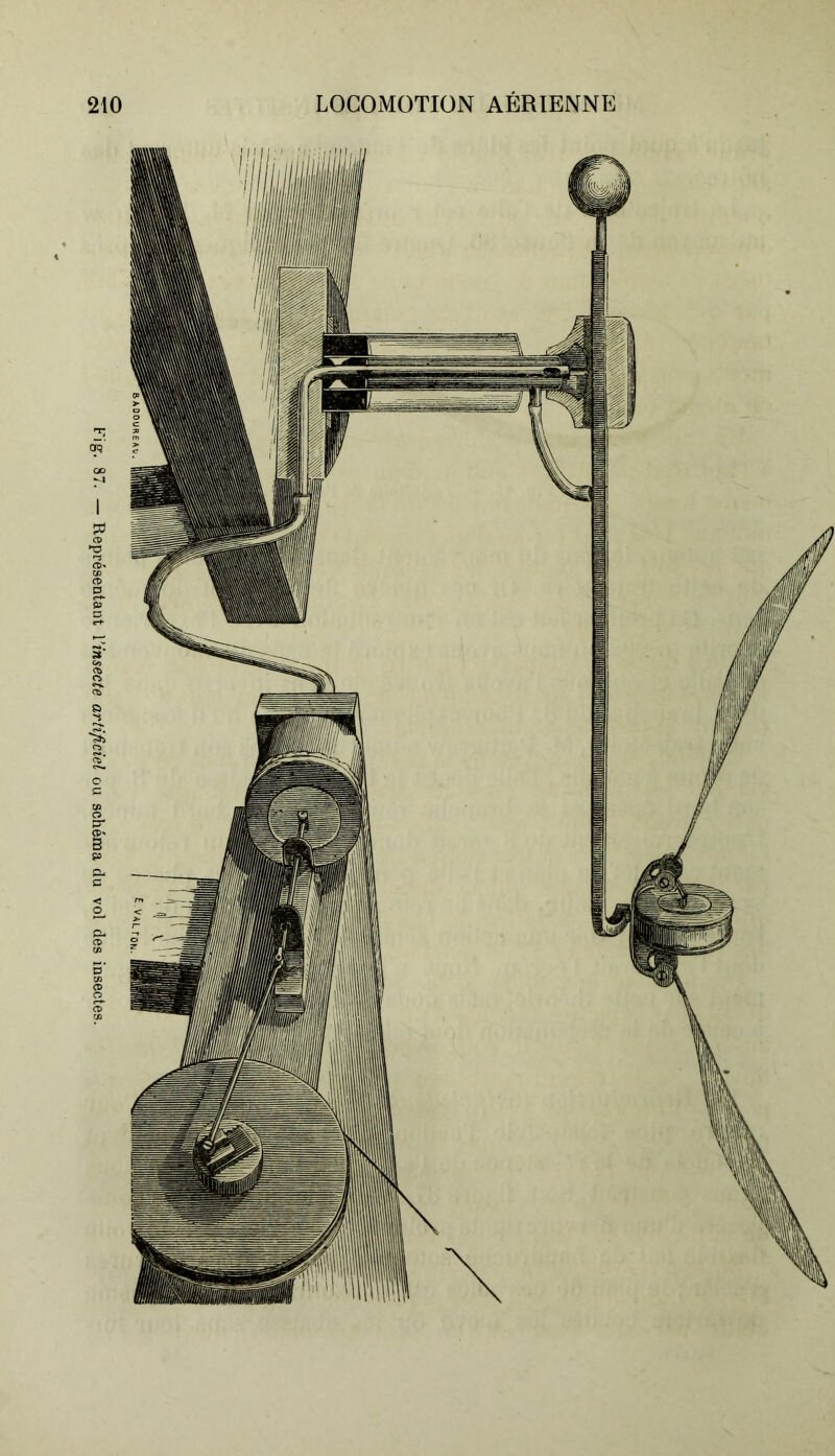 Fig. 87. — Représentant Yinsecte artificiel ou schéma du vol des insectes.