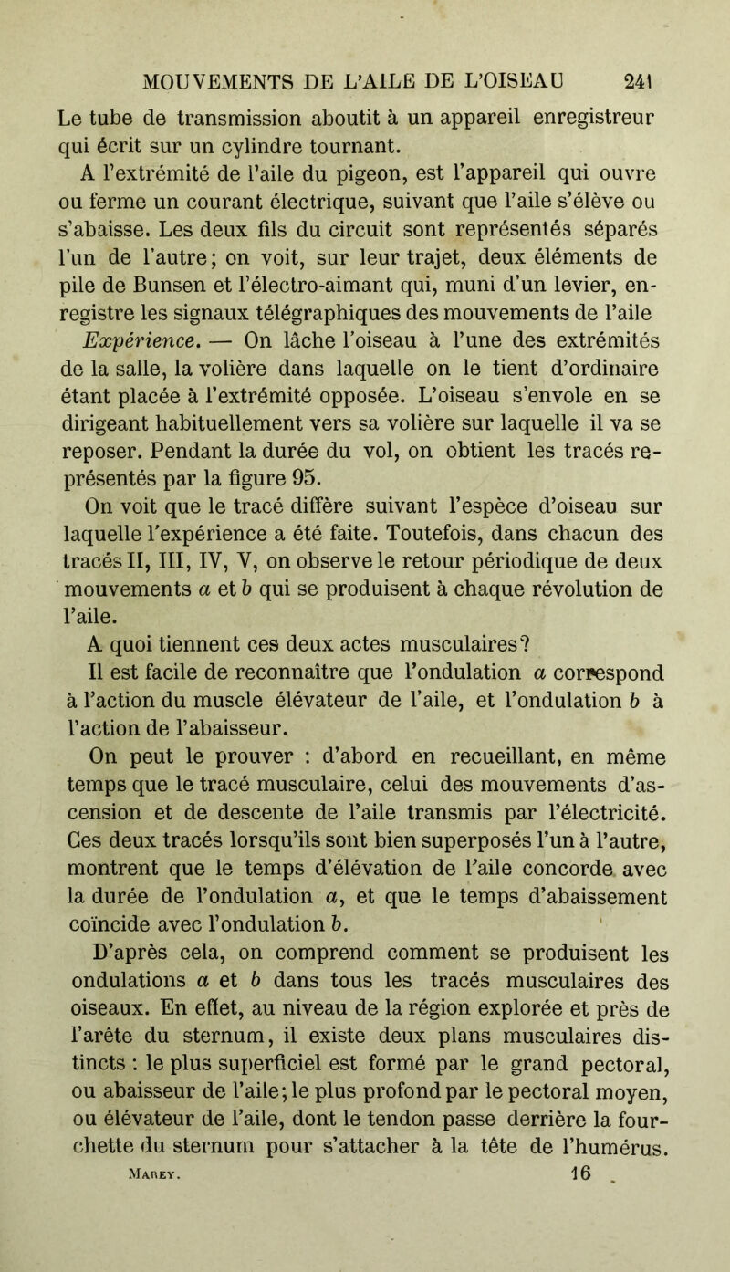 Le tube de transmission aboutit à un appareil enregistreur qui écrit sur un cylindre tournant. A l’extrémité de l’aile du pigeon, est l’appareil qui ouvre ou ferme un courant électrique, suivant que l’aile s’élève ou s’abaisse. Les deux fils du circuit sont représentés séparés l’un de l’autre ; on voit, sur leur trajet, deux éléments de pile de Bunsen et l’électro-aimant qui, muni d’un levier, en- registre les signaux télégraphiques des mouvements de l’aile Expérience. — On lâche l’oiseau à l’une des extrémités de la salle, la volière dans laquelle on le tient d’ordinaire étant placée à l’extrémité opposée. L’oiseau s’envole en se dirigeant habituellement vers sa volière sur laquelle il va se reposer. Pendant la durée du vol, on obtient les tracés re- présentés par la figure 95. On voit que le tracé diffère suivant l’espèce d’oiseau sur laquelle l’expérience a été faite. Toutefois, dans chacun des tracés II, III, IV, V, on observe le retour périodique de deux mouvements a et b qui se produisent à chaque révolution de l’aile. A quoi tiennent ces deux actes musculaires? Il est facile de reconnaître que l’ondulation a correspond à l’action du muscle élévateur de l’aile, et l’ondulation b à l’action de l’abaisseur. On peut le prouver : d’abord en recueillant, en même temps que le tracé musculaire, celui des mouvements d’as- cension et de descente de l’aile transmis par l’électricité. Ces deux tracés lorsqu’ils sont bien superposés l’un à l’autre, montrent que le temps d’élévation de l’aile concorde avec la durée de l’ondulation a, et que le temps d’abaissement coïncide avec l’ondulation b. D’après cela, on comprend comment se produisent les ondulations a et b dans tous les tracés musculaires des oiseaux. En eflet, au niveau de la région explorée et près de l’arête du sternum, il existe deux plans musculaires dis- tincts : le plus superficiel est formé par le grand pectoral, ou abaisseur de l’aile; le plus profond par le pectoral moyen, ou élévateur de l’aile, dont le tendon passe derrière la four- chette du sternum pour s’attacher à la tête de l’humérus. Marey. 16