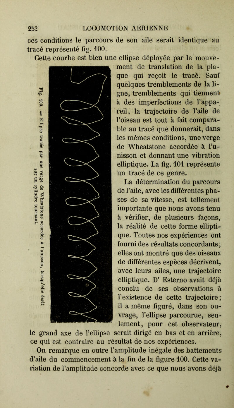 ces conditions le parcours de son aile serait identique au tracé représenté fig. 100. Cette courbe est bien une ellipse déployée par le mouve- ment de translation de la pla- que qui reçoit le tracé. Sauf quelques tremblements de la li- gne, tremblements qui tiennent) à des imperfections de l’appa- reil, la trajectoire de l’aile de l’oiseau est tout à fait compara- ble au tracé que donnerait, dans les mêmes conditions, une verge de Wheatstone accordée à l’u- nisson et donnant une vibration elliptique. La fig. 101 représente un tracé de ce genre. La détermination du parcours de l’aile, avec les différentes pha- ses de sa vitesse, est tellement importante que nous avons tenu à vérifier, de plusieurs façons, la réalité de cette forme ellipti- que. Toutes nos expériences ont fourni des résultats concordants; elles ont montré que des oiseaüx de différentes espèces décrivent, avec leurs ailes, une trajectoire elliptique. D’ Esterno avait déjà conclu de ses observations à l’existence de cette trajectoire; il a même figuré, dans son ou- vrage, l’ellipse parcourue, seu- lement, pour cet observateur, le grand axe de l’ellipse serait dirigé en bas et en arrière, ce qui est contraire au résultat de nos expériences. On remarque en outre l’amplitude inégale des battements d’aile du commencement à la fin de la figure 100. Cette va- riation de l’amplitude concorde avec ce que nous avons déjà