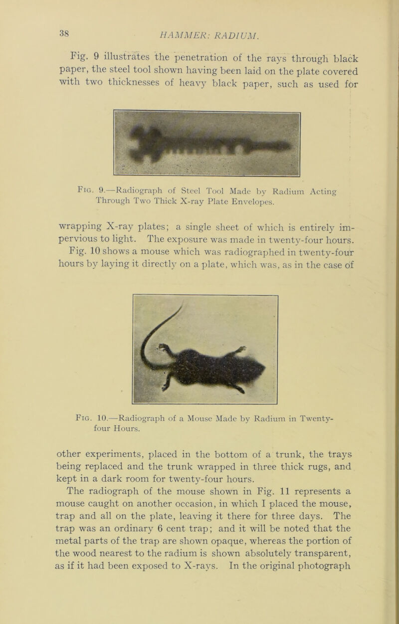 tig. 9 illustrates the penetration of the rays through black paper, the steel tool shown having been laid on the plate covered with two thicknesses of heavy black paper, such as used for Fig. 9.—Radiograph of Steel Tool Made by Radium Acting Through Two Thick X-ray Plate Envelopes. wrapping X-ray plates; a single sheet of which is entirely im- pervious to light. The exposure was made in twenty-four hours. Fig. 10 shows a mouse which was radiographed in twenty-four hours by laying it directly on a plate, which was, as in the case of Fig. 10.—Radiograph of a Mouse Made by Radium in Twenty- four Hours. other experiments, placed in the bottom of a trunk, the trays being replaced and the trunk wrapped in three thick rugs, and kept in a dark room for twenty-four hours. The radiograph of the mouse shown in Fig. 11 represents a mouse caught on another occasion, in which I placed the mouse, trap and all on the plate, leaving it there for three days. The trap was an ordinary 6 cent trap; and it will be noted that the metal parts of the trap are shown opaque, whereas the portion of the wood nearest to the radium is shown absolutely transparent, as if it had been exposed to X-rays. In the original photograph