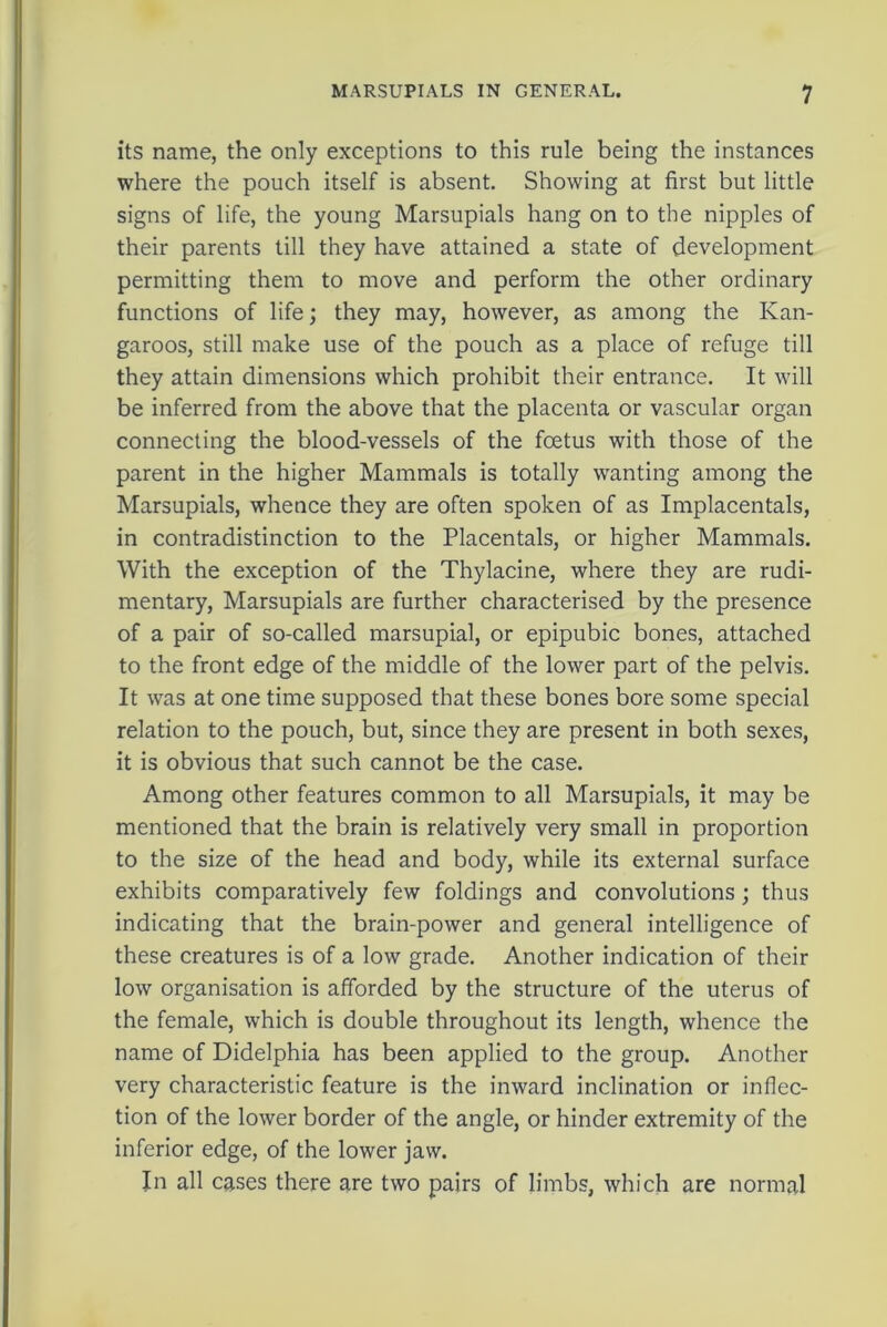 its name, the only exceptions to this rule being the instances where the pouch itself is absent. Showing at first but little signs of life, the young Marsupials hang on to the nipples of their parents till they have attained a state of development permitting them to move and perform the other ordinary functions of life; they may, however, as among the Kan- garoos, still make use of the pouch as a place of refuge till they attain dimensions which prohibit their entrance. It will be inferred from the above that the placenta or vascular organ connecting the blood-vessels of the foetus with those of the parent in the higher Mammals is totally wanting among the Marsupials, whence they are often spoken of as Implacentals, in contradistinction to the Placentals, or higher Mammals. With the exception of the Thylacine, where they are rudi- mentary, Marsupials are further characterised by the presence of a pair of so-called marsupial, or epipubic bones, attached to the front edge of the middle of the lower part of the pelvis. It was at one time supposed that these bones bore some special relation to the pouch, but, since they are present in both sexes, it is obvious that such cannot be the case. Among other features common to all Marsupials, it may be mentioned that the brain is relatively very small in proportion to the size of the head and body, while its external surface exhibits comparatively few foldings and convolutions; thus indicating that the brain-power and general intelligence of these creatures is of a low grade. Another indication of their low organisation is afforded by the structure of the uterus of the female, which is double throughout its length, whence the name of Didelphia has been applied to the group. Another very characteristic feature is the inward inclination or inflec- tion of the lower border of the angle, or hinder extremity of the inferior edge, of the lower jaw. In all cases there are two pairs of limbs, which are normal