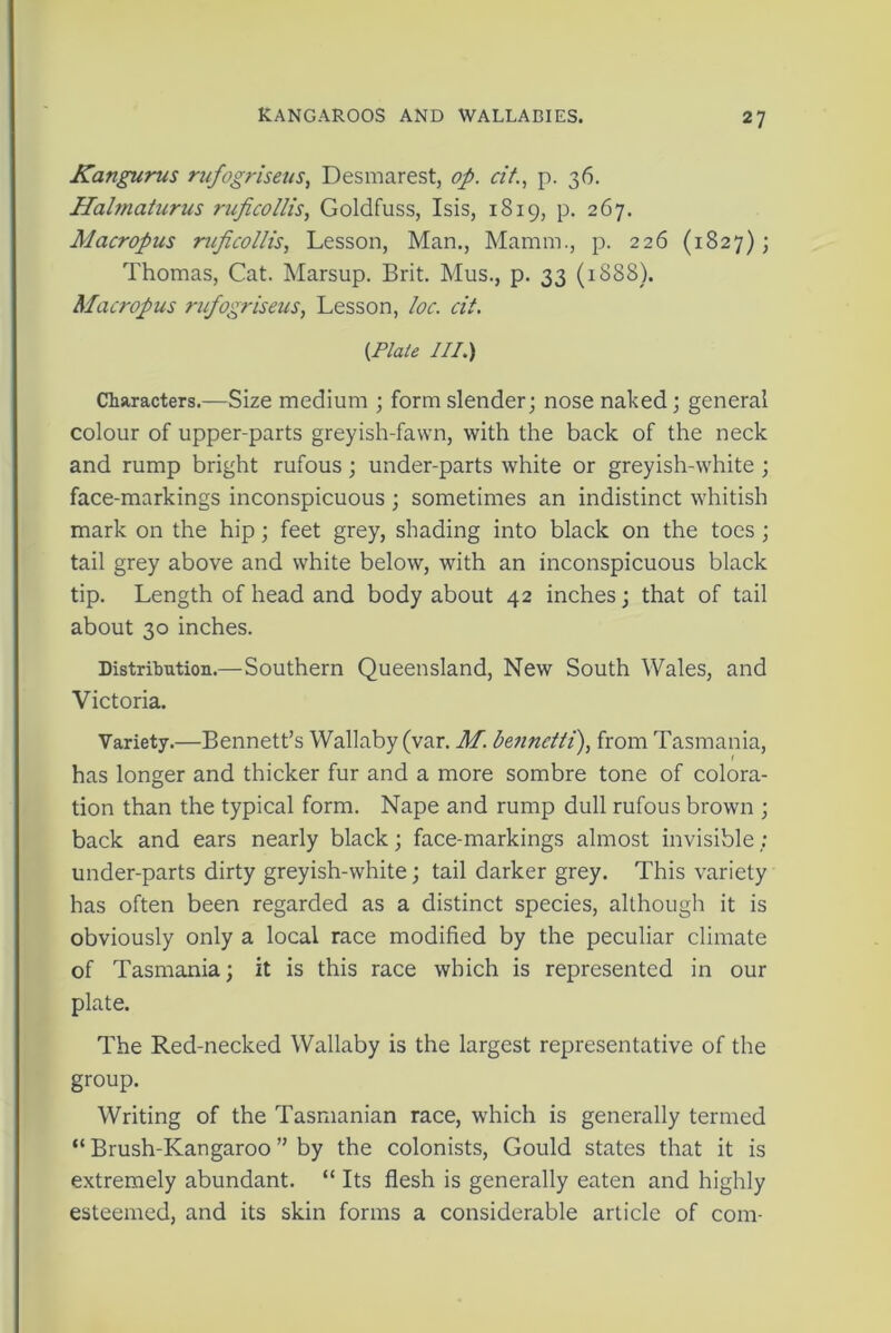 Kangurus rufogriseus, Desmarest, op. cit., p. 36. Halmcitiirus ruficollis, Goldfuss, Isis, 1819, p. 267. Macropus ruficollis, Lesson, Man., Mamm., p. 226 (1827); Thomas, Cat. Marsup. Brit. Mus., p. 33 (1888). Macropus rufogriseus, Lesson, loc. cit. (Plate III.) Characters.—Size medium ; form slender; nose naked; general colour of upper-parts greyish-fawn, with the back of the neck and rump bright rufous; under-parts white or greyish-white ; face-markings inconspicuous ; sometimes an indistinct whitish mark on the hip; feet grey, shading into black on the toes; tail grey above and white below, with an inconspicuous black tip. Length of head and body about 42 inches; that of tail about 30 inches. Distribution.—Southern Queensland, New South Wales, and Victoria. Variety.—Bennett’s Wallaby (var. M. betinctti), from Tasmania, has longer and thicker fur and a more sombre tone of colora- tion than the typical form. Nape and rump dull rufous brown ; back and ears nearly black; face-markings almost invisible ; under-parts dirty greyish-white; tail darker grey. This variety has often been regarded as a distinct species, although it is obviously only a local race modified by the peculiar climate of Tasmania; it is this race which is represented in our plate. The Red-necked Wallaby is the largest representative of the group. Writing of the Tasmanian race, which is generally termed “ Brush-Kangaroo ” by the colonists, Gould states that it is extremely abundant. “ Its flesh is generally eaten and highly esteemed, and its skin forms a considerable article of com-