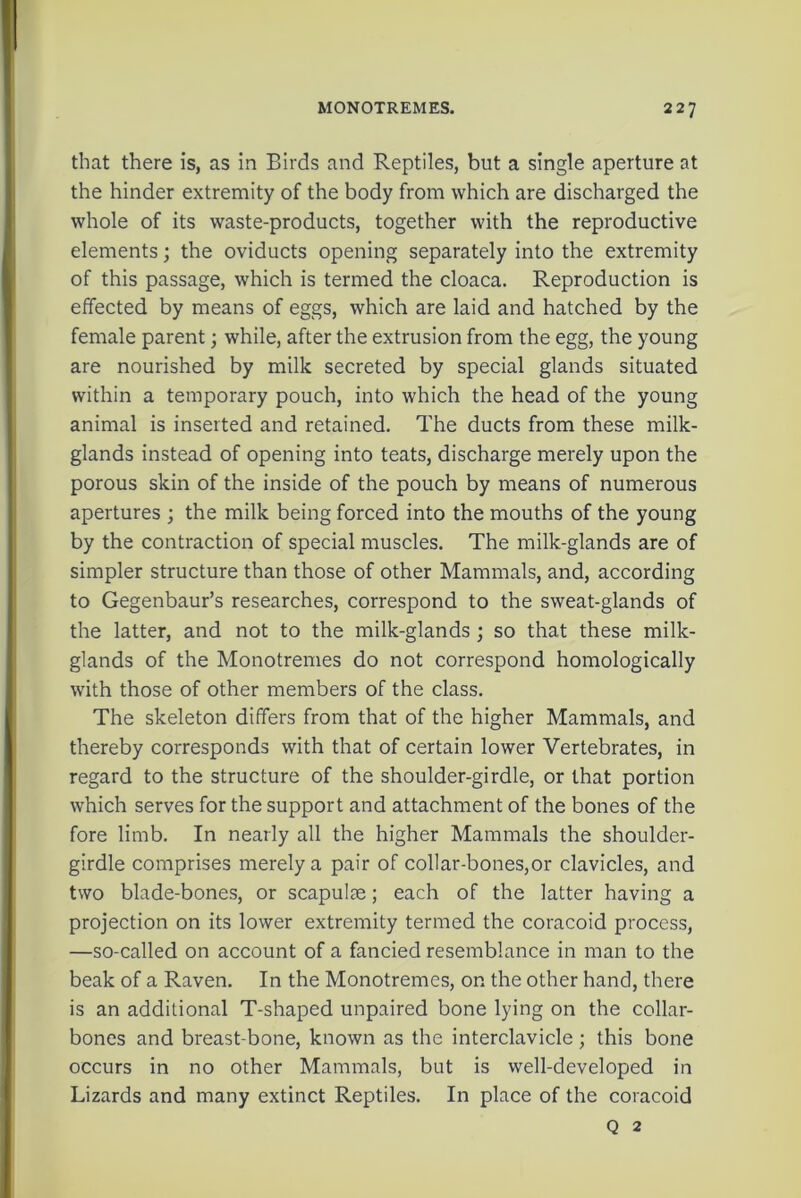 that there is, as in Birds and Reptiles, but a single aperture at the hinder extremity of the body from which are discharged the whole of its waste-products, together with the reproductive elements; the oviducts opening separately into the extremity of this passage, which is termed the cloaca. Reproduction is effected by means of eggs, which are laid and hatched by the female parent; while, after the extrusion from the egg, the young are nourished by milk secreted by special glands situated within a temporary pouch, into which the head of the young animal is inserted and retained. The ducts from these milk- glands instead of opening into teats, discharge merely upon the porous skin of the inside of the pouch by means of numerous apertures ; the milk being forced into the mouths of the young by the contraction of special muscles. The milk-glands are of simpler structure than those of other Mammals, and, according to Gegenbaur’s researches, correspond to the sweat-glands of the latter, and not to the milk-glands ; so that these milk- glands of the Monotremes do not correspond homologically with those of other members of the class. The skeleton differs from that of the higher Mammals, and thereby corresponds with that of certain lower Vertebrates, in regard to the structure of the shoulder-girdle, or that portion which serves for the support and attachment of the bones of the fore limb. In nearly all the higher Mammals the shoulder- girdle comprises merely a pair of collar-bones,or clavicles, and two blade-bones, or scapulse; each of the latter having a projection on its lower extremity termed the coracoid process, —so-called on account of a fancied resemblance in man to the beak of a Raven. In the Monotremes, on the other hand, there is an additional T-shaped unpaired bone lying on the collar- bones and breast-bone, known as the interclavicle; this bone occurs in no other Mammals, but is well-developed in Lizards and many extinct Reptiles. In place of the coracoid Q 2