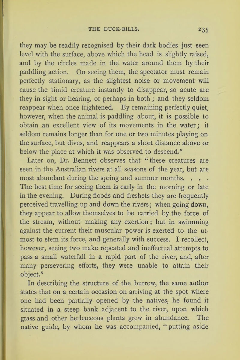 they may be readily recognised by their dark bodies just seen level with the surface, above which the head is slightly raised, and by the circles made in the water around them by their paddling action. On seeing them, the spectator must remain perfectly stationary, as the slightest noise or movement will cause the timid creature instantly to disappear, so acute are they in sight or hearing, or perhaps in both; and they seldom reappear when once frightened. By remaining perfectly quiet, however, when the animal is paddling about, it is possible to obtain an excellent view of its movements in the water; it seldom remains longer than for one or two minutes playing on the surface, but dives, and reappears a short distance above or below the place at which it was observed to descend.” Later on, Dr. Bennett observes that “ these creatures are seen in the Australian rivers at all seasons of the year, but are most abundant during the spring and summer months. . . . The best time for seeing them is early in the morning or late in the evening. During floods and freshets they are frequently perceived travelling up and down the rivers; when going down, they appear to allow themselves to be carried by the force of the stream, without making any exertion; but in swimming against the current their muscular power is exerted to the ut- most to stem its force, and generally with success. I recollect, however, seeing two make repeated and ineffectual attempts to pass a small waterfall in a rapid part of the river, and, after many persevering efforts, they were unable to attain their object.” In describing the structure of the burrow, the same author states that on a certain occasion on arriving at the spot where one had been partially opened by the natives, he found it situated in a steep bank adjacent to the river, upon which grass and other herbaceous plants grew in abundance. The native guide, by whom he was accompanied, “putting aside