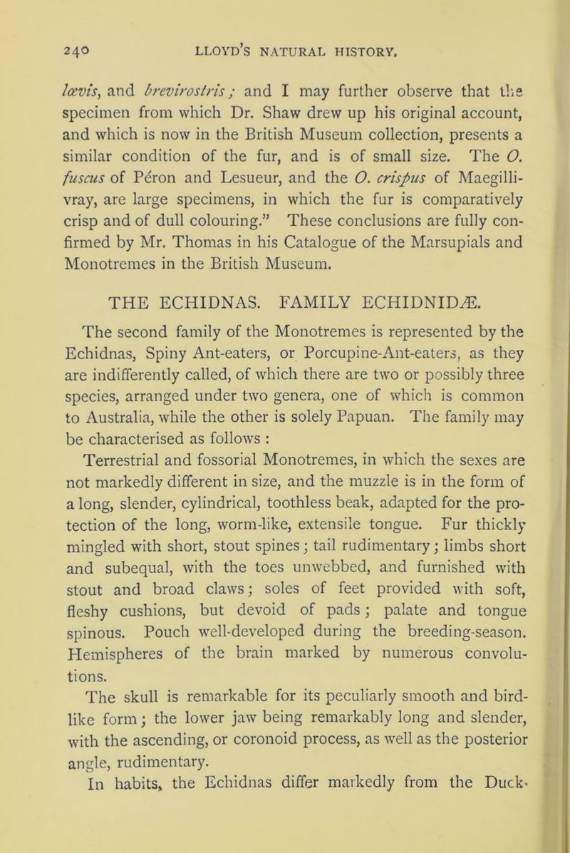 Icevis, and brevirostris; and I may further observe that the specimen from which Dr. Shaw drew up his original account, and which is now in the British Museum collection, presents a similar condition of the fur, and is of small size. The O. fuscus of Peron and Lesueur, and the O. crispus of Maegilli- vray, are large specimens, in which the fur is comparatively crisp and of dull colouring.” These conclusions are fully con- firmed by Mr. Thomas in his Catalogue of the Marsupials and Monotremes in the British Museum. THE ECHIDNAS. FAMILY ECHIDNIDyE. The second family of the Monotremes is represented by the Echidnas, Spiny Ant-eaters, or Porcupine-Ant-eaters, as they are indifferently called, of which there are two or possibly three species, arranged under two genera, one of which is common to Australia, while the other is solely Papuan. The family may be characterised as follows : Terrestrial and fossorial Monotremes, in which the sexes are not markedly different in size, and the muzzle is in the form of a long, slender, cylindrical, toothless beak, adapted for the pro- tection of the long, worm-like, extensile tongue. Fur thickly mingled with short, stout spines; tail rudimentary; limbs short and subequal, with the toes unwebbed, and furnished with stout and broad claws; soles of feet provided with soft, fleshy cushions, but devoid of pads; palate and tongue spinous. Pouch well-developed during the breeding-season. Plemispheres of the brain marked by numerous convolu- tions. The skull is remarkable for its peculiarly smooth and bird- like form; the lower jaw being remarkably long and slender, with the ascending, or coronoid process, as well as the posterior angle, rudimentary. In habits, the Echidnas differ markedly from the Duck’