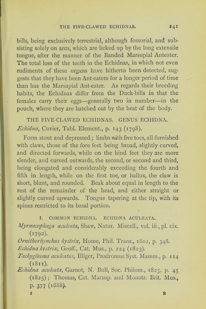bills, being exclusively terrestrial, although fossorial, and sub- sisting solely on ants, which are licked up by the long extensile tongue, after the manner of the Banded Marsupial Anteater. The total loss of the teeth in the Echidnas, in which not even rudiments of these organs have hitherto been detected, sug- gests that they have been Ant-eaters for a longer period of time than has the Marsupial Ant-eater. As regards their breeding habits, the Echidnas differ from the Duck-bills in that the females carry their eggs—generally two in number—in the pouch, where they are hatched out by the heat of the body. THE FIVE-CLAWED ECHIDNAS. GENUS ECHIDNA. Echidna, Cuvier, Tabl. Element., p. 143 (1798). Form stout and depressed ; limbs with five toes, all furnished with claws, those of the fore feet being broad, slightly curved, and directed forwards, while on the hind feet they are more slender, and curved outwards, the second, or second and third, being elongated and considerably exceeding the fourth and fifth in length, while on the first toe, or hallux, the claw is short, blunt, and rounded. Beak about equal in length to the rest of the remainder of the head, and either straight or slightly curved upwards. Tongue tapering at the tip, with its spines restricted to its basal portion. I. COMMON ECHIDNA. ECHIDNA ACULEATA. Myrmecophaga aculeata, Shaw, Natur. Miscell., vol. iii., pi. cix. (1792). Ornithorhynchus hystrix, Home, Phil. Trans., 1802, p. 348. Echidna hystrix, Geoff., Cat. Mus., p. 224 (1823). Tachyglossus aculcatus, Illiger, Prodromus Syst. Mamin., p. 114 (1811). Echidna aculeata, Garnot, N. Bull, Soc. Philom., 1825, p. 45 (1825); Thomas, Cat. Marsup. and Monotr. Brit. Mus., p. 377 (18SS). 2 R