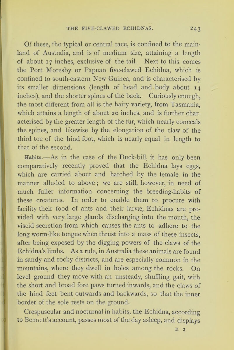 Of these, the typical or central race, is confined to the main- land of Australia, and is of medium size, attaining a length of about 17 inches, exclusive of the tail. Next to this comes the Port Moresby or Papuan five-clawed Echidna, which is confined to south-eastern New Guinea, and is characterised by its smaller dimensions (length of head and body about 14 inches), and the shorter spines of the back. Curiously enough,, the most different from all is the hairy variety, from Tasmania, which attains a length of about 20 inches, and is further char- acterised by the greater length of the fur, which nearly conceals the spines, and likewise by the elongation of the claw of the third toe of the hind foot, which is nearly equal in length to that of the second. Habits.—As in the case of the Duck-bill, it has only been comparatively recently proved that the Echidna lays eggs, which are carried about and hatched by the female in the manner alluded to above; we are still, however, in need of much fuller information concerning the breeding-habits of these creatures. In order to enable them to procure with facility their food of ants and their lame, Echidnas are pro- vided with very large glands discharging into the mouth, the viscid secretion from which causes the ants to adhere to the long worm-like tongue when thrust into a mass of these insects, after being exposed by the digging powers of the claws of the Echidna’s limbs. As a rule, in Australia these animals are found in sandy and rocky districts, and are especially common in the mountains, where they dwell in holes among the rocks. On level ground they move with an unsteady, shuffling gait, with the short and broad fore paws turned inwards, and the claws of the hind feet bent outwards and backwards, so that the inner border of the sole rests on the ground. Crespuscular and nocturnal in habits, the Echidna, according to Bennett’s account, passes most of the day asleep, and displays R 2