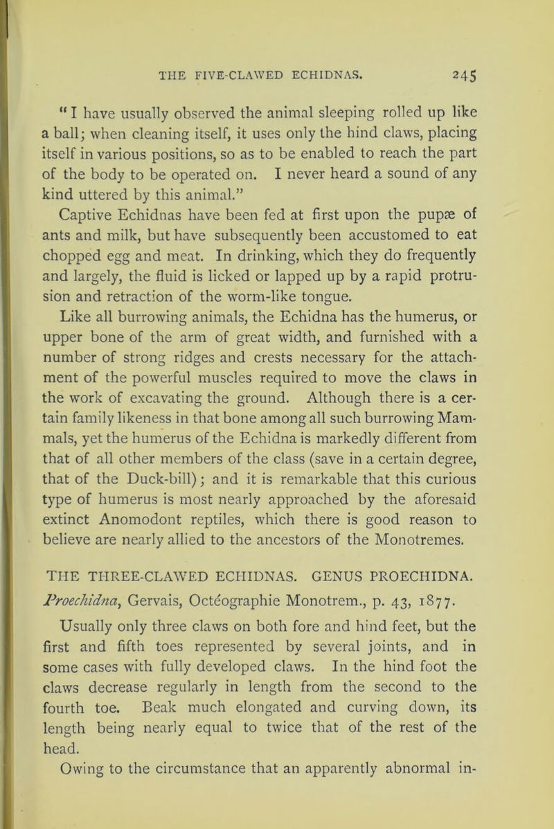 “ I have usually observed the animal sleeping rolled up like a ball; when cleaning itself, it uses only the hind claws, placing itself in various positions, so as to be enabled to reach the part of the body to be operated on. I never heard a sound of any kind uttered by this animal.” Captive Echidnas have been fed at first upon the pupae of ants and milk, but have subsequently been accustomed to eat chopped egg and meat. In drinking, which they do frequently and largely, the fluid is licked or lapped up by a rapid protru- sion and retraction of the worm-like tongue. Like all burrowing animals, the Echidna has the humerus, or upper bone of the arm of great width, and furnished with a number of strong ridges and crests necessary for the attach- ment of the powerful muscles required to move the claws in the work of excavating the ground. Although there is a cer- tain family likeness in that bone among all such burrowing Mam- mals, yet the humerus of the Echidna is markedly different from that of all other members of the class (save in a certain degree, that of the Duck-bill); and it is remarkable that this curious type of humerus is most nearly approached by the aforesaid extinct Anomodont reptiles, which there is good reason to believe are nearly allied to the ancestors of the Monotremes. THE THREE-CLAWED ECHIDNAS. GENUS PROECHIDNA. Proechidna, Gervais, Octeographie Monotrem., p. 43, 1877. Usually only three claws on both fore and hind feet, but the first and fifth toes represented by several joints, and in some cases with fully developed claws. In the hind foot the claws decrease regularly in length from the second to the fourth toe. Beak much elongated and curving down, its length being nearly equal to twice that of the rest of the head. Owing to the circumstance that an apparently abnormal in-