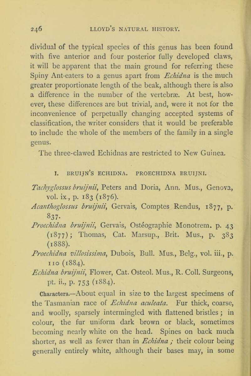 dividual of the typical species of this genus has been found with five anterior and four posterior fully developed claws, it will be apparent that the main ground for referring these Spiny Ant-eaters to a genus apart from Echidna is the much greater proportionate length of the beak, although there is also a difference in the number of the vertebrae. At best, how- ever, these differences are but trivial, and, were it not for the inconvenience of perpetually changing accepted systems of classification, the writer considers that it would be preferable to include the whole of the members of the family in a single genus. The three-clawed Echidnas are restricted to New Guinea. 1. bruijn’s echidna, proechidna bruijni. Tachyglossus bruijnii, Peters and Doria, Ann. Mus., Genova, vol. ix., p. 183 (1876). Acanthoglossus bruijnii, Gervais, Comptes Rendus, 1877, p. S37- Proechidna bruijnii, Gervais, Osteographie Monotrem. p. 43 (1877); Thomas, Cat. Marsup., Brit. Mus., p. 383 (1888). Proechidna villosissima, Dubois, Bull. Mus., Belg., vol. iii., p. 110 (1884). Echidna bruijnii, Flower, Cat. Osteol. Mus., R. Coll. Surgeons, pt. ii., p. 753 (1884). Characters.—About equal in size to the largest specimens of the Tasmanian race of Echidna aculeata. Fur thick, coarse, and woolly, sparsely intermingled with flattened bristles; in colour, the fur uniform dark brown or black, sometimes becoming nearly white on the head. Spines on back much shorter, as well as fewer than in Echidria ; their colour being generally entirely white, although their bases may, in some
