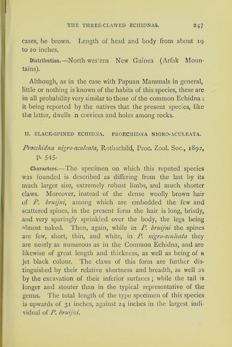 cases, be brown. Length of head and body from about 19 to 20 inches. Distribution.—North-western New Guinea (Arfak Moun- tains). Although, as in the case with Papuan Mammals in general, little or nothing is known of the habits of this species, these are in all probability very similar to those of the common Echidna ; it being reported by the natives that the present species, like the latter, dwells in crevices and holes among rocks. II. ELACK-SPINED ECHIDNA. PROECIIIDNA NIGRO-ACULEATA. Proechidna nigro-aculeata, Rothschild, Proc. Zool. Soc., 1892, P- 545- Chavacters.—The specimen on which this reputed species was founded is described as differing from the last by its much larger size, extremely robust limbs, and much shorter claws. Moreover, instead of the dense woolly brown hair of P. bruijni, among which are embedded the few and scattered spines, in the present form the hair is long, bristly, and very sparingly sprinkled over the body, the legs being almost naked. Then, again, while in P. bruijni the spines are few, short, thin, and white, in P. nigro-aculeata they are nearly as numerous as in the Common Echidna, and are likewise of great length and thickness, as well as being of a jet black colour. The claws of this form are further dis- tinguished by their relative shortness and breadth, as well as by the excavation of their inferior surfaces; while the tail is longer and stouter than in the typical representative of the genus. The total length of the type specimen of this species is upwards of 31 inches, against 24 inches in the largest indi- vidual of P. bruijni.