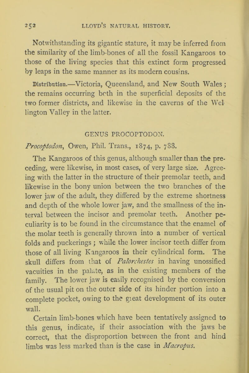 Notwithstanding its gigantic stature, it may be inferred from the similarity of the limb-bones of all the fossil Kangaroos to those of the living species that this extinct form progressed by leaps in the same manner as its modern cousins. Distribution.—Victoria, Queensland, and New South Wales; the remains occurring both in the superficial deposits of the two former districts, and likewise in the caverns of the Wel- lington Valley in the latter. GENUS PROCOPTODON. Procoptodon, Owen, Phil. Trans., 1874, p. 788. The Kangaroos of this genus, although smaller than the pre- ceding, were likewise, in most cases, of very large size. Agree- ing with the latter in the structure of their premolar teeth, and likewise in the bony union between the two branches of the lower jaw of the adult, they differed by the extreme shortness and depth of the whole lower jaw, and the smallness of the in- terval between the incisor and premolar teeth. Another pe- culiarity is to be found in the circumstance that the enamel of the molar teeth is generally thrown into a number of vertical folds and puckerings ; while the lower incisor teeth differ from those of all living Kangaroos in their cylindrical form. The skull differs from that of Palorchestes in having unossified vacuities in the palate, as in the existing members of the family. The lower jaw is easily recognised by the conversion of the usual pit on the outer side of its hinder portion into a complete pocket, owing to the gieat development of its outer wall. Certain limb-bones which have been tentatively assigned to this genus, indicate, if their association with the javrs be correct, that the disproportion between the front and hind limbs was less marked than is the case in Macropus.