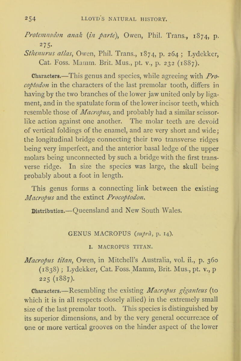 Protemnodon anak {in parte), Owen, Phil. Trans., 1874, p. 275- Sthenurus at/as, Owen, Phil. Trans., 1874, p. 264 ; Lydekkcr, Cat. Foss. Mamin. Brit. Mus., pt. v., p. 232 (1887). Characters.—This genus and species, while agreeing with Pro- coptodon in the characters of the last premolar tooth, differs in having by the two branches of the lower jaw united only by liga- ment, and in the spatulate form of the lower incisor teeth, which resemble those of Macropus, and probably had a similar scissor- like action against one another. The molar teeth are devoid of vertical foldings of the enamel, and are very short and wide; the longitudinal bridge connecting their two transverse ridges being very imperfect, and the anterior basal ledge of the upper molars being unconnected by such a bridge with the first trans- verse ridge. In size the species was large, the skull being probably about a foot in length. This genus forms a connecting link between the existing Macropus and the extinct Procoptodo?i. Distribution.—Queensland and New South Wales. GENUS MACROPUS (suprh, p. 14). I. MACROPUS TITAN. Macropus titan, Owen, in Mitchell’s Australia, vol. ii., p. 360 (1838); Lydekker, Cat. Foss. Mamm, Brit. Mus., pt. v., p 225 (1887). Characters.—Resembling the existing Macropus giganteus (to which it is in all respects closely allied) in the extremely small size of the last premolar tooth. This species is distinguished by its superior dimensions, and by the very general occurrence of one or more vertical grooves on the hinder aspect of the lower