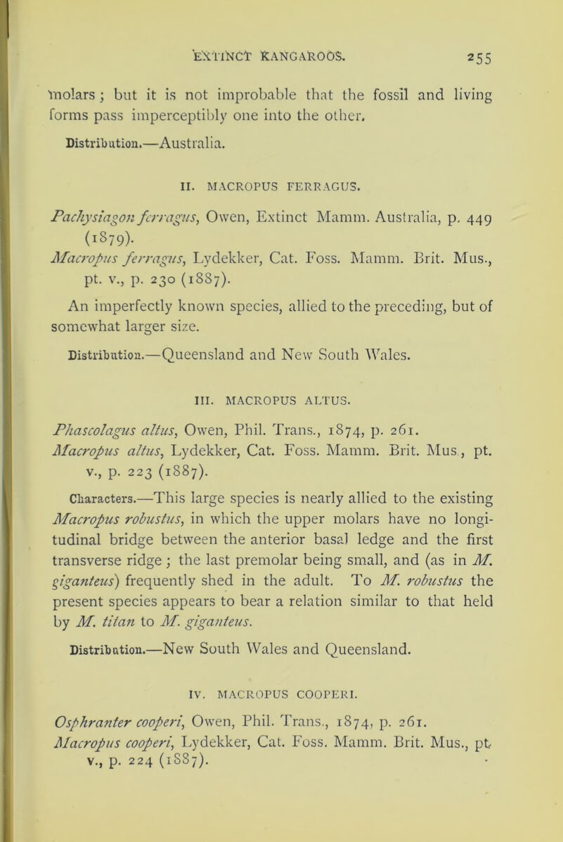 molars ; but it is not improbable that the fossil and living forms pass imperceptibly one into the other. Distribution.—Australia. II. MACROPUS FERRAGUS. Pachysiagon ferragus, Owen, Extinct Mamm. Australia, p. 449 (i879)- Maci-opus ferragus, Lydekker, Cat. Foss. Mamm. Brit. Mus., pt. v., p. 230 (18S7). An imperfectly known species, allied to the preceding, but of somewhat larger size. Distribution.—Queensland and New South Wales. III. MACROPUS ALTUS. Phascolagus alt us, Owen, Phil. Trans., 1874, p. 261. Macropus altus, Lydekker, Cat. Foss. Mamm. Brit. Mus., pt. v., p. 223 (1887). Characters.—This large species is nearly allied to the existing Macropus robustus, in which the upper molars have no longi- tudinal bridge between the anterior basal ledge and the first transverse ridge; the last premolar being small, and (as in M. giganteus) frequently shed in the adult. To M. robustus the present species appears to bear a relation similar to that held by M. titan to M. giganteus. Distribution.—New South Wales and Queensland. IV. MACROPUS COOPERI. Osphranter cooperi, Owen, Phil. Trans., 1874, p. 261. Macropus cooperi, Lydekker, Cat. Foss. Mamm. Brit. Mus., pt v., p. 224 (1SS7).