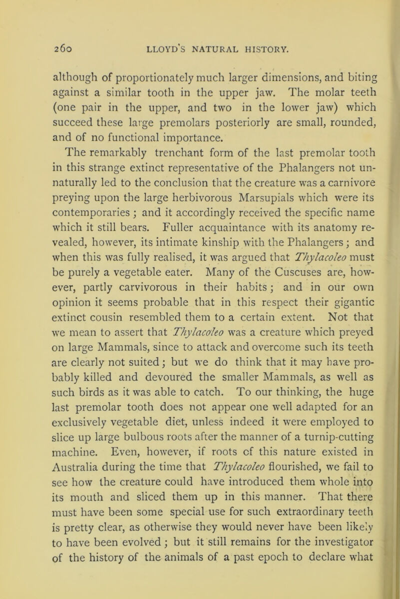 although of proportionately much larger dimensions, and biting against a similar tooth in the upper jaw. The molar teeth (one pair in the upper, and two in the lower jaw) which succeed these large premolars posteriorly are small, rounded, and of no functional importance. The remarkably trenchant form of the last premolar tooth in this strange extinct representative of the Phalangers not un- naturally led to the conclusion that the creature was a carnivore preying upon the large herbivorous Marsupials which were its contemporaries ; and it accordingly received the specific name which it still bears. Fuller acquaintance with its anatomy re- vealed, however, its intimate kinship with the Phalangers ; and when this was fully realised, it was argued that Thylacoleo must be purely a vegetable eater. Many of the Cuscuses are, how- ever, partly carvivorous in their habits; and in our own opinion it seems probable that in this respect their gigantic extinct cousin resembled them to a certain extent. Not that we mean to assert that Thylacoleo was a creature which preyed on large Mammals, since to attack and overcome such its teeth are clearly not suited; but we do think that it may have pro- bably killed and devoured the smaller Mammals, as well as such birds as it was able to catch. To our thinking, the huge last premolar tooth does not appear one well adapted for an exclusively vegetable diet, unless indeed it were employed to slice up large bulbous roots after the manner of a turnip-cutting machine. Even, however, if roots cf this nature existed in Australia during the time that Thylacoleo flourished, we fail to see how the creature could have introduced them whole into its mouth and sliced them up in this manner. That there must have been some special use for such extraordinary teeth is pretty clear, as otherwise they would never have been likely to have been evolved ; but it still remains for the investigator of the history of the animals of a past epoch to declare what