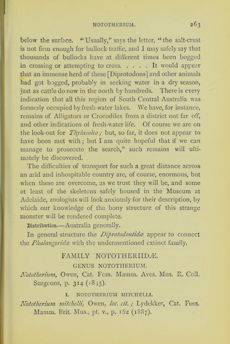 below the surface. “Usually,” says the letter, “the salt-crust is not firm enough for bullock traffic, and I may safely say that thousands of bullocks have at different times been bogged in crossing or attempting to cross It would appear that an immense herd of these [Diprotodons] and other animals had got bogged, probably in seeking water in a dry season, just as cattle do now in the north by hundreds. There is every indication that all this region of South Central Australia was formerly occupied by fresh-water lakes. We have, for instance, remains of Alligators or Crocodiles from a district not far off, and other indications of fresh-water life. Of course we are on the look-out for 1'hylacoleo; but, so far, it does not appear to have been met with; but I am quite hopeful that if we can manage to prosecute the search,” such remains will ulti- mately be discovered. The difficulties of transport for such a great distance across an arid and inhospitable country are, of course, enormous, but when these are overcome, as we trust they will be, and some at least of the skeletons safely housed in the Museum at Adelaide, zoologists will look anxiously for their description, by which our knowledge of the bony structure of this strange monster will be rendered complete. Distribution.—Australia generally. In general structure the Diprotodontidce appear to connect the Phalangeridce with the undermentioned extinct family. FAMILY NOTOTHERIIDA2. GENUS NOTOTHERIUM. Nototherium, Owen, Cat. Fcss. Mamm. Aves. Mus. R. Coll. Surgeons, p. 314 (18 45)* I. NOTOTHERIUM MITCIIELLI. Nototherium mitchelli, Owen, loc. cit. ; Lydekker, Cat. Foss. Mamm. Brit. Mus., pt. v., p. 162 (1887).