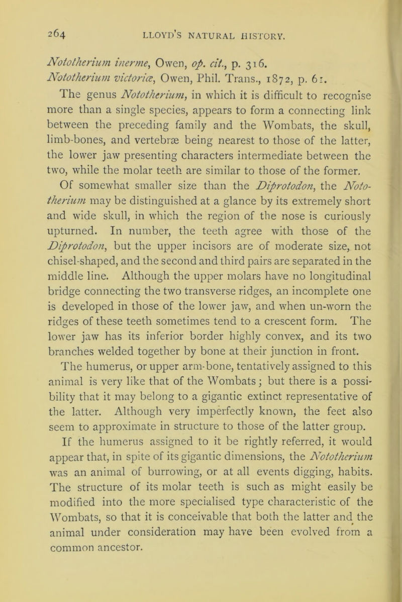 Nototherium inerme, Owen, op. cit., p. 316. Notothcrium victoria, Owen, Phil. Trans., 1S72, p. 6:. The genus Notothcrium, in which it is difficult to recognise more than a single species, appears to form a connecting link between the preceding family and the Wombats, the skull, limb-bones, and vertebrae being nearest to those of the latter, the lower jaw presenting characters intermediate between the two, while the molar teeth are similar to those of the former. Of somewhat smaller size than the Diprotodon, the Noto- therium may be distinguished at a glance by its extremely short and wide skull, in which the region of the nose is curiously upturned. In number, the teeth agree with those of the Diprotodon, but the upper incisors are of moderate size, not chisel-shaped, and the second and third pairs are separated in the middle line. Although the upper molars have no longitudinal bridge connecting the two transverse ridges, an incomplete one is developed in those of the lower jaw, and when un-worn the ridsres of these teeth sometimes tend to a crescent form. The O lower jaw has its inferior border highly convex, and its two branches welded together by bone at their junction in front. The humerus, or upper arm-bone, tentatively assigned to this animal is very like that of the Wombats ; but there is a possi- bility that it may belong to a gigantic extinct representative of the latter. Although very imperfectly known, the feet also seem to approximate in structure to those of the latter group. If the humerus assigned to it be rightly referred, it would appear that, in spite of its gigantic dimensions, the Notothcrium was an animal of burrowing, or at all events digging, habits. The structure of its molar teeth is such as might easily be modified into the more specialised type characteristic of the Wombats, so that it is conceivable that both the latter and the animal under consideration may have been evolved from a common ancestor.