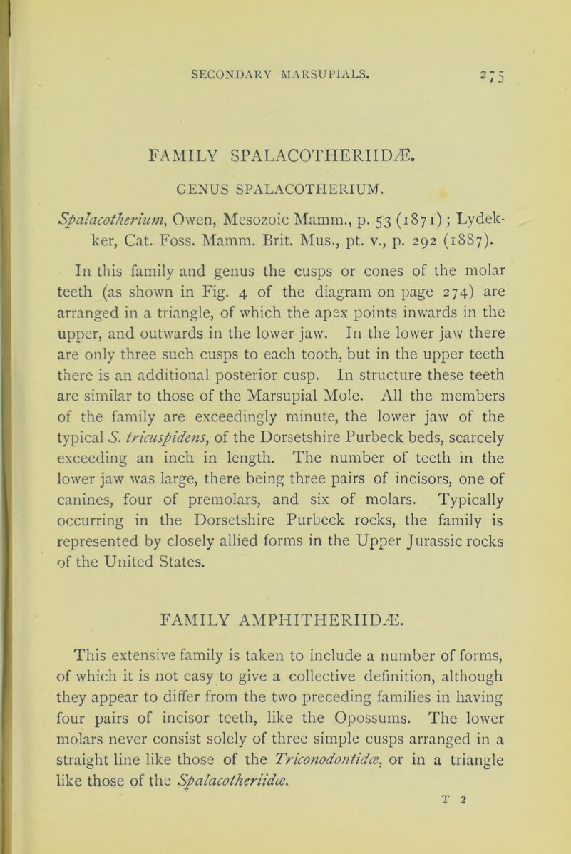 FAMILY SPALACOTHERIIDaE. GENUS SPALACOTHERIUM. SpalacotJierium, Owen, Mesozoic Mamra,, p. 53 (1871); Lydek- ker, Cat. Foss. Mamm. Brit. Mus., pt. v., p. 292 (1887). In this family and genus the cusps or cones of the molar teeth (as shown in Fig. 4 of the diagram on page 274) are arranged in a triangle, of which the apex points inwards in the upper, and outwards in the lower jaw. In the lower jaw there are only three such cusps to each tooth, but in the upper teeth there is an additional posterior cusp. In structure these teeth are similar to those of the Marsupial Mole. All the members of the family are exceedingly minute, the lower jaw of the typical S. tricuspidens, of the Dorsetshire Purbeck beds, scarcely exceeding an inch in length. The number of teeth in the lower jaw was large, there being three pairs of incisors, one of canines, four of premolars, and six of molars. Typically occurring in the Dorsetshire Purbeck rocks, the family is represented by closely allied forms in the Upper Jurassic rocks of the United States. FAMILY AMPHITHERIIDaE. This extensive family is taken to include a number of forms, of which it is not easy to give a collective definition, although they appear to differ from the two preceding families in having four pairs of incisor teeth, like the Opossums. The lower molars never consist solely of three simple cusps arranged in a straight line like those of the Triconodontidcc, or in a triangle like those of the Spalacotheriid<z. T 2